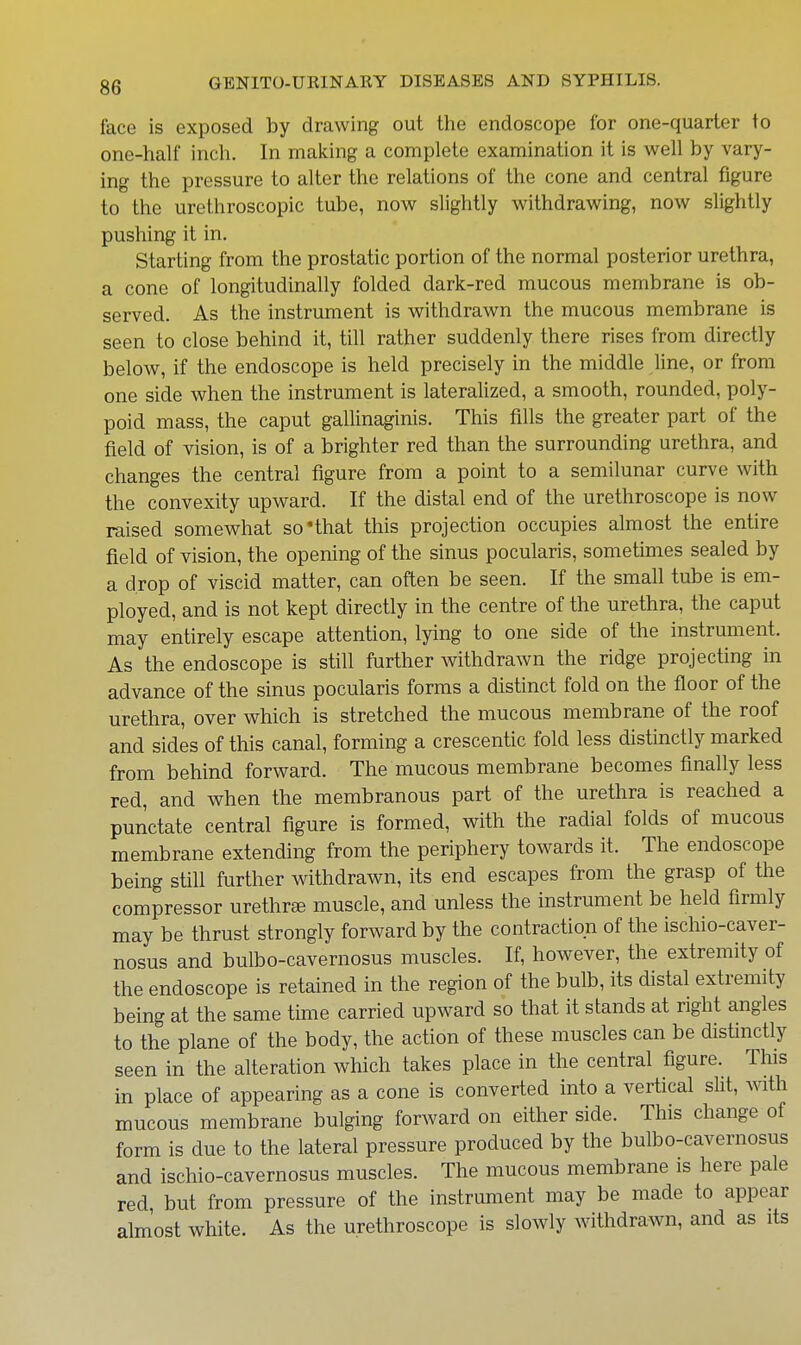 face is exposed by drawing out the endoscope for one-quarter to one-half inch. In making a complete examination it is well by vary- ing the pressure to alter the relations of the cone and central figure to the urethroscopic tube, now slightly withdrawing, now slightly pushing it in. Starting from the prostatic portion of the normal posterior urethra, a cone of longitudinally folded dark-red mucous membrane is ob- served. As the instrument is withdrawn the mucous membrane is seen to close behind it, till rather suddenly there rises from directly below, if the endoscope is held precisely in the middle Une, or from one side when the instrument is lateralized, a smooth, rounded, poly- poid mass, the caput gallinaginis. This fills the greater part of the field of vision, is of a brighter red than the surrounding urethra, and changes the central figure from a point to a semilunar curve with the convexity upward. If the distal end of the urethroscope is now raised somewhat so'that this projection occupies almost the entire field of vision, the opening of the sinus pocularis, sometimes sealed by a drop of viscid matter, can often be seen. If the small tube is em- ployed, and is not kept directly in the centre of the urethra, the caput may entirely escape attention, lying to one side of the instrument. As the endoscope is still further withdrawn the ridge projecting in advance of the sinus pocularis forms a distinct fold on the floor of the urethra, over which is stretched the mucous membrane of the roof and sides of this canal, forming a crescentic fold less distinctly marked from behind forward. The mucous membrane becomes finally less red, and when the membranous part of the urethra is reached a punctate central figure is formed, with the radial folds of mucous membrane extending from the periphery towards it. The endoscope being still further withdrawn, its end escapes from the grasp of the compressor urethree muscle, and unless the instrument be held firmly may be thrust strongly forward by the contraction of the ischio-caver- nosus and bulbo-cavernosus muscles. If, however, the extremity of the endoscope is retained in the region of the bulb, its distal extremity being at the same time carried upward so that it stands at right angles to the plane of the body, the action of these muscles can be distinctly seen in the alteration which takes place in the central figure. This in place of appearing as a cone is converted into a vertical slit, mth mucous membrane bulging forward on either side. This change of form is due to the lateral pressure produced by the bulbo-cavernosus and ischio-cavernosus muscles. The mucous membrane is here pale red, but from pressure of the instrument may be made to appear almost white. As the urethroscope is slowly withdrawn, and as its