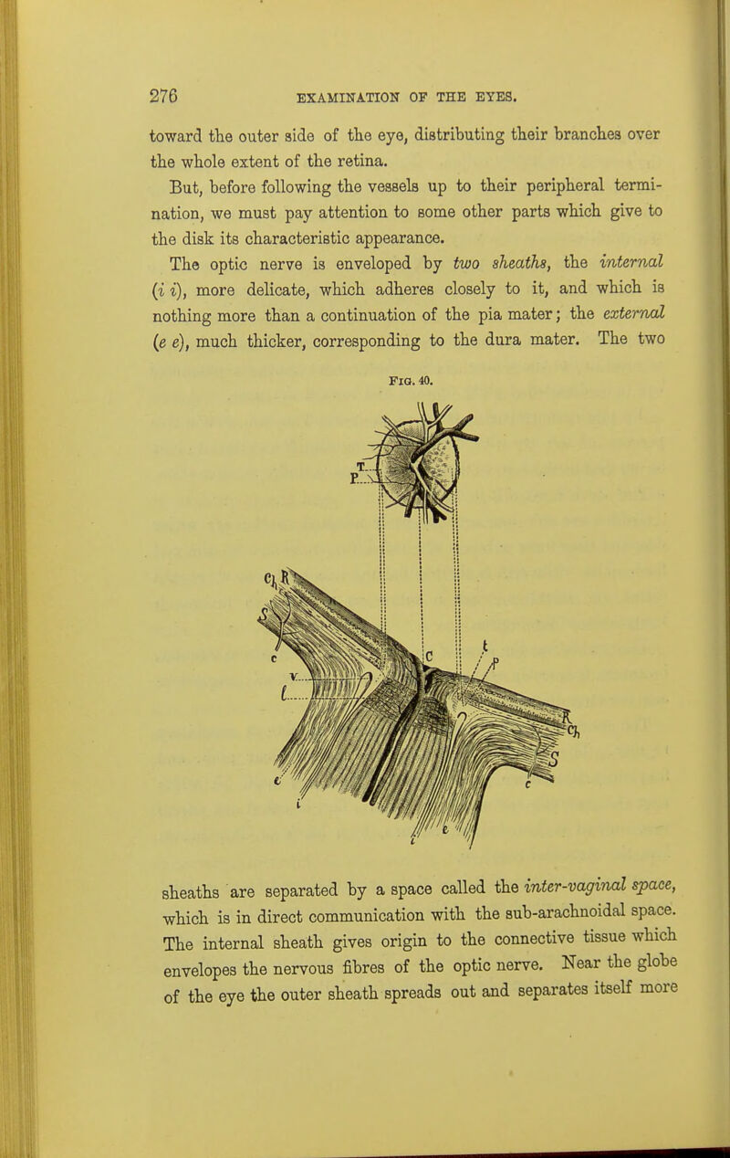 toward the outer side of the eye, distributing their branches over the whole extent of the retina. But, before following the vessels up to their peripheral termi- nation, we must pay attention to some other parts which give to the disk its characteristic appearance. The optic nerve is enveloped by two sheaths, the internal (i i), more delicate, which adheres closely to it, and which is nothing more than a continuation of the pia mater; the external (e e), much thicker, corresponding to the dura mater. The two Fia. 40. sheaths are separated by a space called the inter-vaginal space, which is in direct communication with the sub-arachnoidal space. The internal sheath gives origin to the connective tissue which envelopes the nervous fibres of the optic nerve. Near the glohe of the eye the outer sheath spreads out and separates itself more