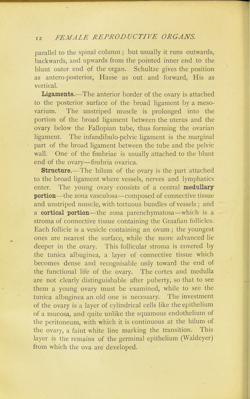 parallel to the spinal column ; but usually it runs outwards, backwards, and upwards from the pointed inner end to the blunt outer end of the organ. Schultze gives the position as antero-posterior, Hasse as out. and forward, His as vertical. Ligaments.—The anterior border of the ovary is attached to the posterior surface of the broad ligament by a meso- varium. The unstriped muscle is prolonged into the portion of the broad ligament between the uterus and the ovary below the Fallopian tube, thus forming the ovarian ligament. The infundibulo-pelvic ligament is the marginal part of the broad ligament between the tube and the pelvic wall. One of the fimbriae is usually attached to the blunt end of the ovary—fimbria ovarica. Structure.—The hilum of the ovary is the part attached to the broad ligament where vessels, nerves and lymphatics enter. The young ovary consists of a central medullary portion—the zona vasculosa—composed of connective tissue and unstriped muscle, with tortuous bundles of vessels ; and a cortical portion—the zona parenchymatosa—which is a stroma of connective tissue containing the Graafian follicles. Each follicle is a vesicle containing an ovum; the youngest ones are nearest the surface, while the more advanced lie deeper in the ovary. This follicular stroma is covered by the tunica albuginea, a layer of connective tissue which becomes dense and recognisable only toward the end of the functional life of the ovary. The cortex and medulla are not clearly distinguishable after puberty, so that to see them a young ovary must be examined, while to see the tunica albuginea an old one is necessary. The investment of the ovary is a layer of cylindrical cells like the epithelium of a mucosa, and quite unlike the squamous endothelium of the peritoneum, with which it is continuous at the hilum of the ovary, a faint white line marking the transition. This layer is the remains of the germinal epithelium (Waldeyer) from which the ova are developed.