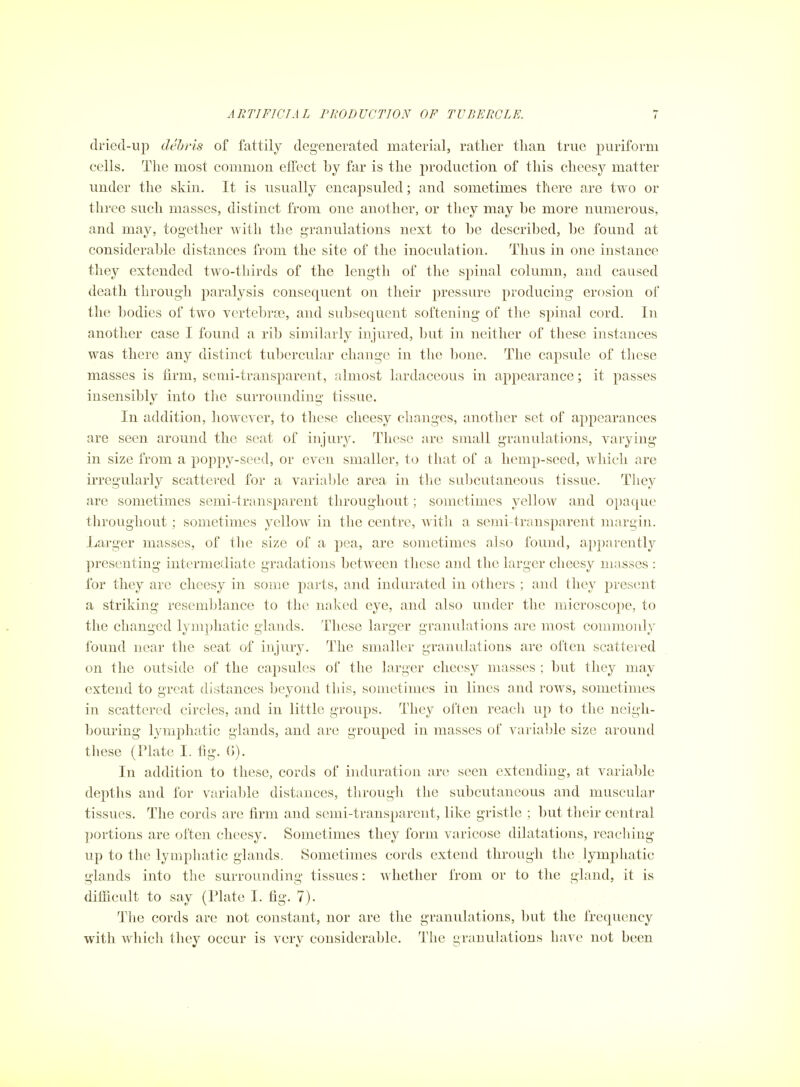 clriecl-up debris of fattily degenerated material, ratlier than true puriform cells. The most common effect by far is the production of this cheesy matter under the skin. It is usually encapsuled; and sometimes there are two or three such masses, distinct from one another, or they may be more numerous, and may, together with the granulations next to be described, be found at considerable distances from the site of the inoculation. Thus in o]ie instance they extended two-thirds of the length of the spinal column, and caused death through paralysis consequent on their pressure producing erosion ol the bodies of two vertebrae, and subsequent softening of the spinal cord. In another case I found a rib similarly injured, but in neither of these instances was there any distinct tubercular change in the l)one. The capsule of these masses is firm, semi-transparent, almost lardaceous in appearance; it passes insensibly into the surrounding tissue. In addition, however, to these cheesy changes, another set of appearances are seen around the seat of injury. These are small granulations, varying in size from a poppy-seed, or even smaller, to that of a hemp-seed, which are irregularly scattered for a variable area in tlie suljcutaneous tissue. They are sometimes semi-transparent throughout; sometimes yellow and opaque throughout ; sometimes yellow in the centre, with a soni-transparent margin. Larger masses, of the size of a pea, are sometimes also found, apparenth^ presenting intermediate gradations between these and the larger cheesy masses : for they are cheesy in some parts, and indurated in others ; and they present a striking reseml}lance to the naked eye, and also under the microscope, to the changed lymphatic glands. These larger granulations are most commonly found near the seat of injury. The smaller granidations are often scattered on the outside of the capsules of the larger cheesy masses ; but they may extend to great distances beyond this, sometimes in lines and rows, sometimes in scattered circles, and in little groups. They often reach up to the neigh- bouring lymphatic glands, and are grouped in masses of varia1)le size around these (Plate I. fig. (5). In addition to these, cords of induration are seen extending, at variable depths and for variable distances, tlirougli the subcutaneous and muscular tissues. The cords are firm and semi-transparent, like gristle ; but their central portions are often cheesy. Sometimes they form varicose dilatations, reacliing up to the lymphatic glands. Sometimes cords extend through the lymphatic glands into the surrounding tissues: whether from or to the gland, it is difficult to say (Plate I. fig. 7). The cords are not constant, nor are the granulations, but the frequency with whicli they occur is very considerable. The granulations have not been