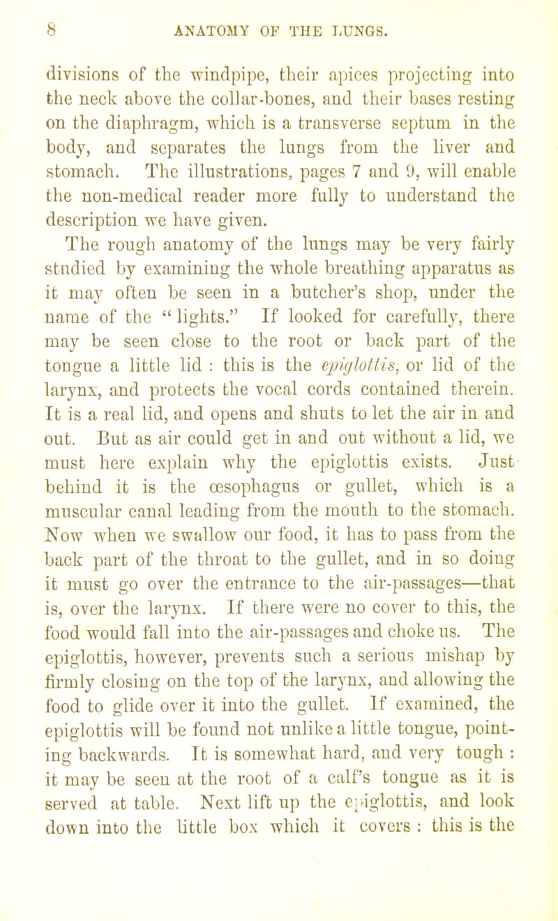 divisions of the windpipe, their apices projecting; into the neck above the collar-bones, and their bases resting on the diaphragm, which is a transverse septum in the body, and separates the lungs from the liver and stomach. The illustrations, pages 7 and 9, will enable the non-medical reader more fully to understand the description we have given. The rough anatomy of the lungs may be very fairly studied by examining the whole breathing apparatus as it may often be seen in a butcher's shop, under the name of the  lights. If looked for carefully, there may be seen close to the root or back part of the tongue a little lid : this is the epiglottis^ or lid of the larynx, and protects the vocal cords contained therein. It is a real lid, and opens and shuts to let the air in and out. But as air could get in and out without a lid, we must here explain why the epiglottis exists. Just behind it is the oesophagus or gullet, which is a muscular canal leading from the mouth to the stomach. Now when we swallow our food, it has to pass fi'om the back part of the throat to the gullet, and in so doing it must go over the entrance to the air-passages—that is, over the larynx. If there were no cover to this, the food would fall into the air-passages and choke us. The epiglottis, however, prevents such a serious mishap by firmly closing on the top of the larynx, and allowing the food to glide over it into the gullet. If examined, the epiglottis will be found not unlike a little tongue, point- ing backwards. It is somewhat hard, and very tough : it may be seen at the root of a calf's tongue as it is served at table. Next lift up the e;.iglottis, and look down into the little box which it covers : this is the
