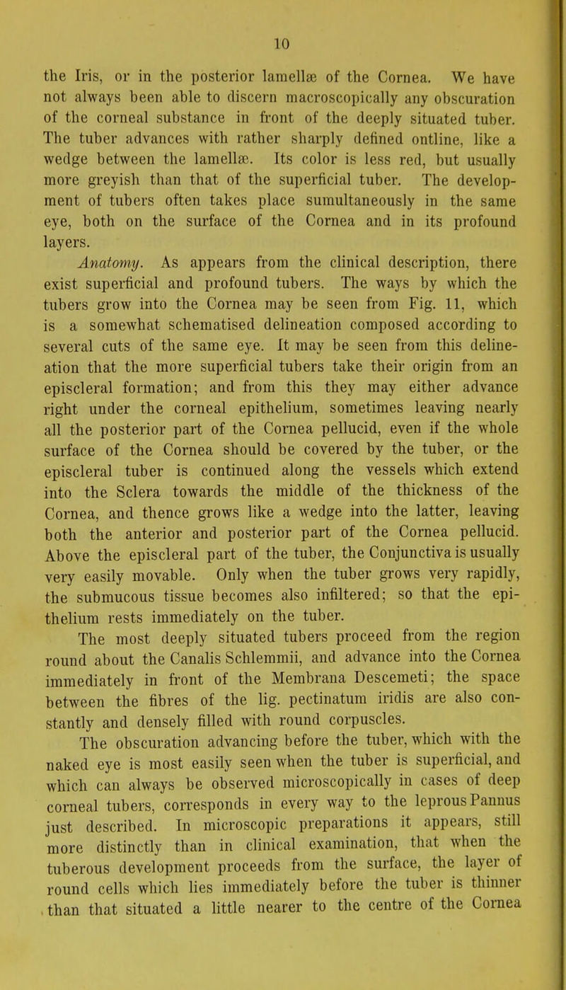 the Iris, or in the posterior lamellae of the Cornea. We have not always been able to discern macroscopically any obscuration of the corneal substance in front of the deeply situated tuber. The tuber advances with rather sharply defined ontline, like a wedge between the lamellae. Its color is less red, but usually more greyish than that of the superficial tuber. The develop- ment of tubers often takes place sumultaneously in the same eye, both on the surface of the Cornea and in its profound layers. Anatomy. As appears from the clinical description, there exist superficial and profound tubers. The ways by which the tubers grow into the Cornea may be seen from Fig. 11, which is a somewhat schematised delineation composed according to several cuts of the same eye. It may be seen from this deline- ation that the more superficial tubers take their origin from an episcleral formation; and from this they may either advance right under the corneal epithelium, sometimes leaving nearly all the posterior part of the Cornea pellucid, even if the whole surface of the Cornea should be covered by the tuber, or the episcleral tuber is continued along the vessels which extend into the Sclera towards the middle of the thickness of the Cornea, and thence grows like a wedge into the latter, leaving both the anterior and posterior part of the Cornea pellucid. Above the episcleral part of the tuber, the Conjunctiva is usually very easily movable. Only when the tuber grows very rapidly, the submucous tissue becomes also infiltered; so that the epi- thelium rests immediately on the tuber. The most deeply situated tubers proceed from the region round about the Canalis Schlemmii, and advance into the Cornea immediately in front of the Membrana Descemeti; the space between the fibres of the lig. pectinatum iridis are also con- stantly and densely filled with round corpuscles. The obscuration advancing before the tuber, which with the naked eye is most easily seen when the tuber is superficial, and which can always be observed microscopically in cases of deep corneal tubers, corresponds in every way to the leprous Pannus just described. In microscopic preparations it appears, still more distinctly than in clinical examination, that when the tuberous development proceeds from the surface, the layer of round cells which lies immediately before the tuber is thinner than that situated a little nearer to the centre of the Cornea