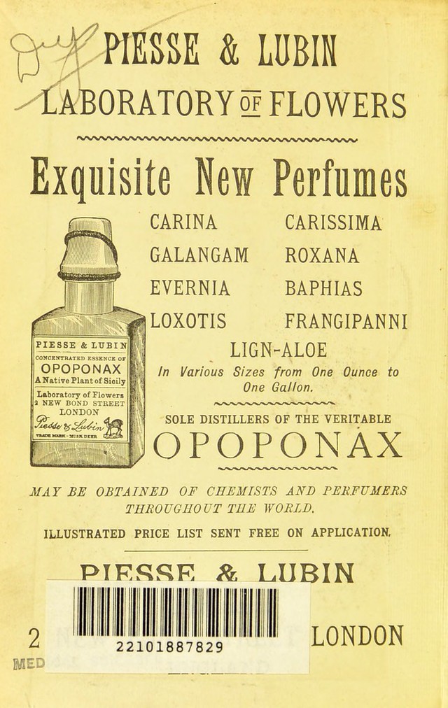 No text description is available for this image