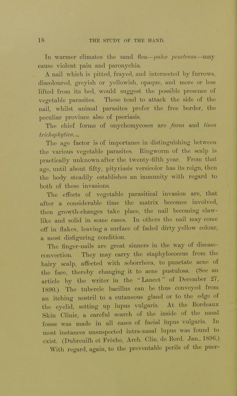 In warmer climates the sand flea—pulex penetrans—may cause violent pain and paronychia. A nail which is pitted, frayed, and intersected by furrows, discoloured, greyish or yellowish, opaque, and more or less lifted from its bed, would suggest the possible presence of vegetable parasites. These tend to attack the side of the nail, whilst animal parasites prefer the free border, the peculiar province also of psoriasis. The chief forms of onychomycoses are favus and tinea trichophytica. The age factor is of importance in distinguishing between the various vegetable parasites. Ringworm of the scalp is practically unknown after the twenty-fifth year. From that age, until about fifty, pityriasis versicolor has its reign, then the body steadily establishes an immunity with regard to both of these invasions. The effects of vegetable parasitical invasion are, that after a considerable time the matrix becomes involved, then growth-changes take place, the nail becoming claw- like and solid in some cases. In others the nail may come off in flakes, leaving a surface of faded dirty yellow colour, a most disfiguring condition. The finger-nails are great sinners in the way of disease- convection. They may carry the staphylococcus from the hairy scalp, affected with seborrhcea, to punctate acne of the face, thereby changing it to acne pustulosa. (See an article by the writer in the Lancet of December 27, 1890.) The tubercle bacillus can be thus conveyed from an itching nostril to a cutaneous gland or to the edge of the eyelid, setting up lupus vulgaris. At the Bordeaux Skin Clinic, a careful search of the inside of the nasal fossse was made in all cases of facial lupus vulgaris. In most instances unsuspected intra-nasal lupus was found to exist. (Dubreuilh et Freche, Arch. Clin, de Bord. Jan.. L896.) With regard, again, to the preventable perils of the puer-