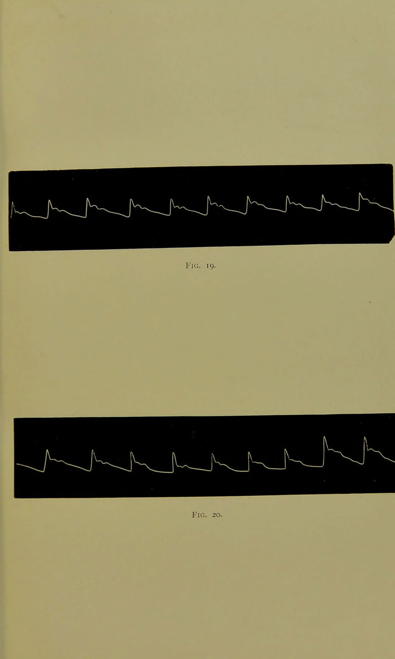 Fig. 20.
