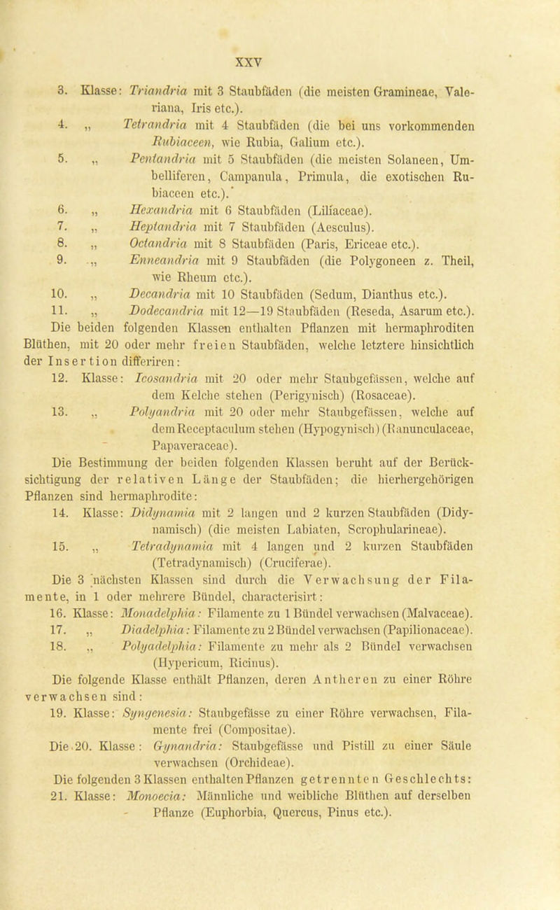 3. Klasse: Triandria mit 3 Staubfäden (die meisten Gramineae, Vale- riana, Iris etc.). 4. „ Tetrandria mit 4 Staubfäden (die bei uns vorkommenden Rubiaceen, wie Rubia, Galium etc.). 5. „ Pentandria mit 5 Staubfäden (die meisten Solaneen, Um- bellifcren, Campanula, Primula, die exotischen Ru- biaceen etc.).' 6. „ Hexandria mit 6 Staubfäden (Liliaceae). 7. „ Hcptandria mit 7 Staubfäden (Aesculus). 8. „ Octandria mit 8 Staubfäden (Paris, Ericeae etc.). 9. „ Enneandria mit 9 Staubfäden (die Polygoneen z. Theil, wie Rheum etc.). 10. „ Decandria mit 10 Staubfäden (Sedum, Dianthus etc.). 11. „ Bodecandria mit 12—19 Staubfäden (Reseda, Asarum etc.). Die beiden folgenden Klassen enthalten Pflanzen mit hermaphroditen Blüthen, mit 20 oder mehr freien Staubfäden, welche letztere hinsichtlich der Insertion differiren: 12. Klasse: Icosandria mit 20 oder mehr Staubgefässen, welche auf dem Kelche stehen (Perigynisch) (Rosaceae). 13. „ Polyandria mit 20 oder mehr Staubgefässen, welche auf demReceptaculum stehen (Hypogynisch) (lianunculaceae, Papaveraceae). Die Bestimmung der beiden folgenden Klassen beruht auf der Berück- sichtigung der relativen Länge der Staubfäden; die hierhergehörigen Pflanzen sind hermaphrodite: 14. Klasse: Didynamia mit 2 langen und 2 kurzen Staubfäden (Didy- namisch) (die meisten Labiaten, Scrophularineae). 15. „ Tetradynamia mit 4 langen und 2 kurzen Staubfäden (Tetradynamisch) (Cruciferae). Die 3 nächsten Klassen sind durch die Verwachsung der Fila- mente, in 1 oder mehrere Bündel, characterisirt: 16. Klasse: Monadelphia: Filamente zu 1 Bündel verwachsen (Malvaceae). 17. „ Diadelphia: Filamente zu 2 Bündel verwachsen (Papilionaceae). 18. „ Polyadelphia: Filamente zu mehr als 2 Bündel verwachsen (Hypericum, Ricinus). Die folgende Klasse enthält Pflanzen, deren Anthcren zu einer Röhre verwachsen sind: 19. Klasse: Syngenesia: Staubgefässe zu einer Röhre verwachsen, Fila- mente frei (Compositae). Die.20. Klasse: Gynandria: Staubgefässe und Pistill zu einer Säule verwachsen (Orchideae). Die folgenden 3 Klassen enthalten Pflanzen getrennten Geschlechts: 21. Klasse: Monoecia: Männliche und weibliche Blüthen auf derselben Pflanze (Euphorbia, Quercus, Pinus etc.).