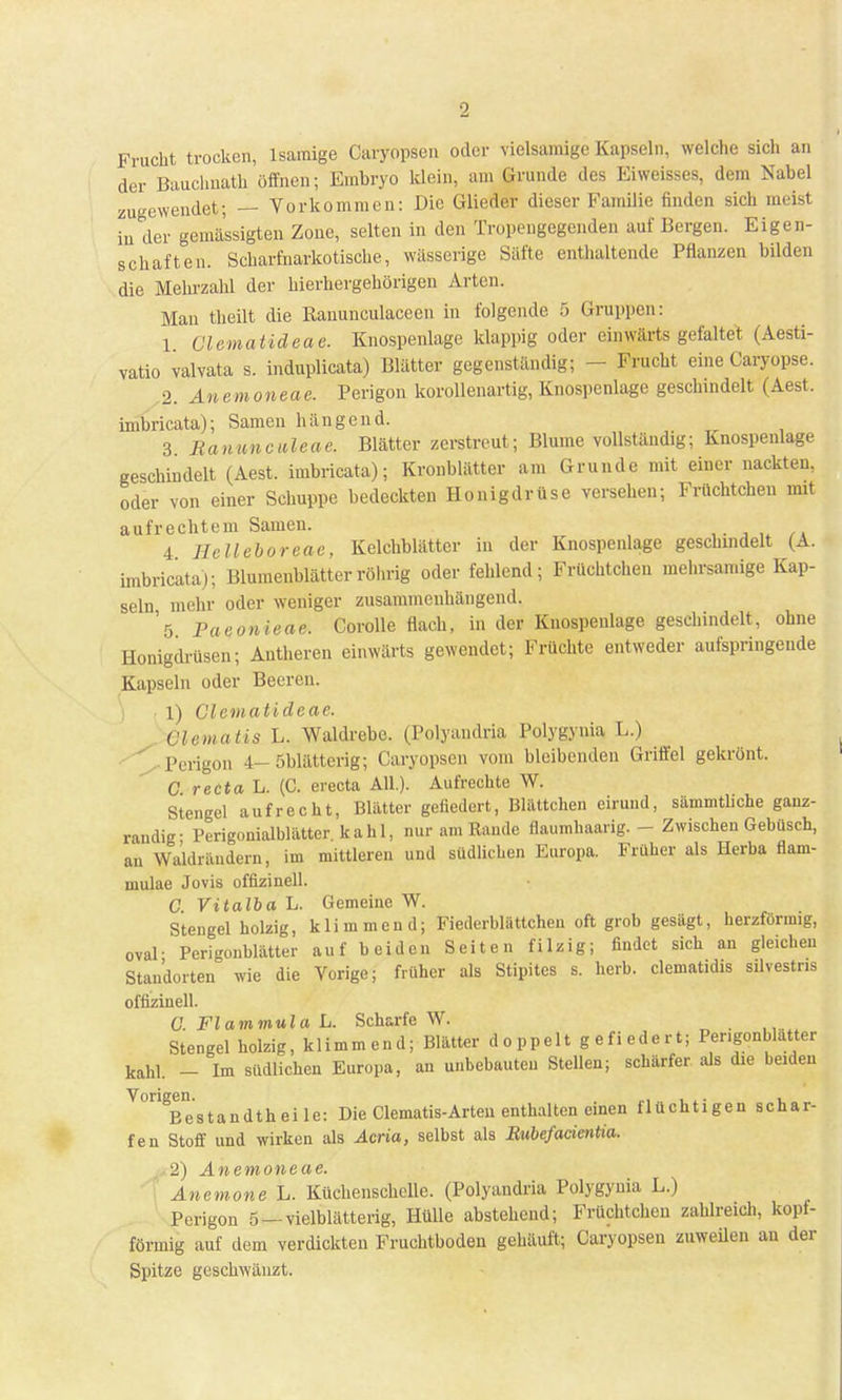 Frucht trocken, 1 sämige Caryopsen oder vielsamige Kapseln, welche sich an der Bauchnath öffnen; Embryo klein, am Grunde des Eiweisses, dem Nabel zugewendet; — Vorkommen: Die Glieder dieser Familie finden sich meist in der gemässigten Zone, selten in den Tropengegenden auf Bergen. Eigen- schaften. Scharfnarkotische, wässerige Säfte enthaltende Pflanzen bilden die Mehrzahl der hierhergehörigen Arten. Man theilt die Ranunculaceen in folgende 5 Gruppen: 1 Glematideae. Knospenlage klappig oder einwärts gefaltet (Aesti- vatio valvata s. induplicata) Blätter gegenständig; - Frucht eine Caryopse. 2. Anemoneae. Perigon korallenartig, Knospenlage geschindelt (Aest, imbricata); Samen hängend. 3 Ranunculeae. Blätter zerstreut; Blume vollständig; Knospenlage geschindelt (Aest. imbricata); Kronblätter am Grunde mit einer nackten, oder von einer Schuppe bedeckten Honigdrüse versehen; Früchtchen mit aufrechtem Samen. 4 Hclleboreae, Kelchblätter in der Knospenlage geschindelt (A. imbricata); Blumenblätter röhrig oder fehlend; Früchtchen mehrsamige Kap- seln mehr oder weniger zusammenhängend. 'ö Paeonieae. Corolle flach, in der Knospenlage geschindelt, ohne Honigdrüsen; Autheren einwärts gewendet; Früchte entweder aufspringende Kapseln oder Beeren. ) ■ 1) Clematidcae. Giema tis L. Waldrebe. (Polyandria Polygynia L.) Perigon 4-öblättcrig; Caryopsen vom bleibenden Griffel gekrönt. G reeta L. (C. erecta All.). Aufrechte W. Stengel aufreckt, Blätter gefiedert, Blättchen eirund, sämmtliche gauz- raudig- Perigonialblätter kahl, nur am Rande flaumhaarig. - Zwischen Gebüsch, an Waldrändern, im mittleren und südlichen Europa. Früher als Herba fiam- mulae Jovis offizinell. C Vitalba L. Gemeine W. Stengel holzig, klimmend; Fiederblättchen oft grob gesägt, herzförmig, oval- Perigonblätter auf beiden Seiten filzig; findet sich an gleichen Standorten wie die Vorige; früher als Stipites s. herb, clematidis silvestns offizinell. G.FlammulaL. Scharfe W. Stengel holzig, klimmend; Blätter doppelt gefiedert; Pengonblatter kahl. - Im südlichen Europa, an unbebauten Stellen; schärfer als die beiden Voriccn Bestandteile: Die Clematis-Arteu enthalten einen flüchtigen schar- fen Stoff und wirken als Acria, selbst als Rubefacientia. •2) Anemoneae. ; Anemone L. Küchenschelle. (Polyandria Polygynia L.) Perigon 5 — vielblätterig, Hülle abstehend; Früchtchen zahlreich, kopf- förinig auf dem verdickten Fruchtboden gehäuft; Caryopsen zuweilen an der Spitze geschwänzt.