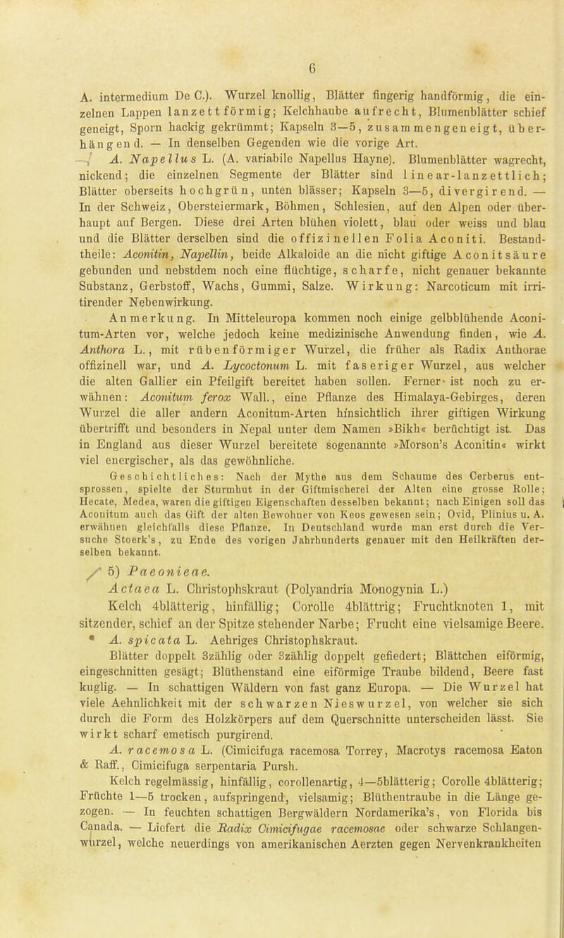 A. intermedium De C). Wurzel knollig, Blätter fingerig handförmig, die ein- zelnen Lappen lanzettförmig; Kelchhaube aufrecht, Blumenblätter schief geneigt, Sporn hackig gekrümmt; Kapseln 3—5, zusammengeneigt, über- hängend. — In denselben Gegenden wie die vorige Art. A. Napellus L. (A. variabile Napellus Hayne). Blumenblätter wagrecht, nickend; die einzelnen Segmente der Blätter sind linear-lanzettlich; Blätter oberseits hochgrün, unten blässer; Kapseln 3—5, divergirend. — In der Schweiz, Obersteiermark, Böhmen, Schlesien, auf den Alpen oder über- haupt auf Bergen. Diese drei Arten blühen violett, blau oder weiss und blau und die Blätter derselben sind die offizineilen Folia Aconiti. Bestand- theile: Aconitin, Napellin, beide Alkaloide an die nicht giftige Aconitsäure gebunden und nebstdem noch eine flüchtige, scharfe, nicht genauer bekannte Substanz, Gerbstoff, Wachs, Gummi, Salze. Wirkung: Narcoticum mit irri- tirender Nebenwirkung. Anmerkung. In Mitteleuropa kommen noch einige gelbblühende Aconi- tum-Arten vor, welche jedoch keine medizinische Anwendung finden, wie A. Anthora L., mit rübenförmiger Wurzel, die früher als Radix Anthorae offizinell war, und A. Lycoctonum L. mit faseriger Wurzel, aus welcher die alten Gallier ein Pfeilgift bereitet haben sollen. Ferner- ist noch zu er- wähnen: Aconitum ferox Wall., eine Pflanze des Himalaya-Gebirgcs, deren Wurzel die aller andern Aconitum-Arten hinsichtlich ihrer giftigen Wirkung übertrifft und besonders in Nepal unter dem Namen »Bikh« berüchtigt ist. Das in England aus dieser Wurzel bereitete sogenannte »Morson's Aconitin« wirkt viel energischer, als das gewöhnliche. Geschichtliches: Nach der Mythe aus dem Schaume des Cerberus ent- sprossen, spielte der Sturmhut in der Giftmischerei der Alten eine grosse Rolle; Hecate, Medea, waren die giftigen Eigenschaften desselben bekannt; nach Einigen soll das Aconitum auch das Gift der alten Bewohner von Keos gewesen sein; Ovid, Plinius u. A. erwähnen gleichfalle diese Pflanze. In Deutschland wurde man erst durch die Ver- suche Stoork's, zu Ende des vorigen Jahrhunderts genauer mit den Heilkräften der- selben bekannt. y 5) Paeonieae. Actaea L. Cbristophskraut (Polyandria Monogynia L.) Kelch 4blätterig, hinfällig; Corolle 4blättrig; Fruchtknoten 1, mit sitzender, schief an der Spitze stehender Narbe; Frucht eine vielsamige Beere. • A. spie ata L. Aehriges Christophskraut. Blätter doppelt 3zählig oder 3zählig doppelt gefiedert; Blättchen eiförmig, eingeschnitten gesägt; Blüthenstand eine eiförmige Traube bildend, Beere fast kuglig. — In schattigen Wäldern von fast ganz Europa. — Die Wurzel hat viele Aehnlichkeit mit der schwarzen Nieswurzel, von welcher sie sich durch die Form des Holzkörpers auf dem Querschnitte unterscheiden lässt. Sie wirkt scharf emetisch purgirend. A. r acemo s a L. (Cimicifuga racemosa Torrey, Macrotys racemosa Eaton & Raff., Cimicifuga serpentaria Pursh. Kelch regelmässig, hinfällig, corollenartig, 4—öblätterig; Corolle 4blätterig; Früchte 1—5 trocken, aufspringend, vielsamig; Blüthentraube in die Länge ge- zogen. — In feuchten schattigen Bergwäldern Nordamerika^, von Florida bis Canada. — Liefert die Radix Cimicifugae racemosae oder schwarze Schlangen- wurzel, welche neuerdings von amerikanischen Aerzten gegen Nervenkrankheiten