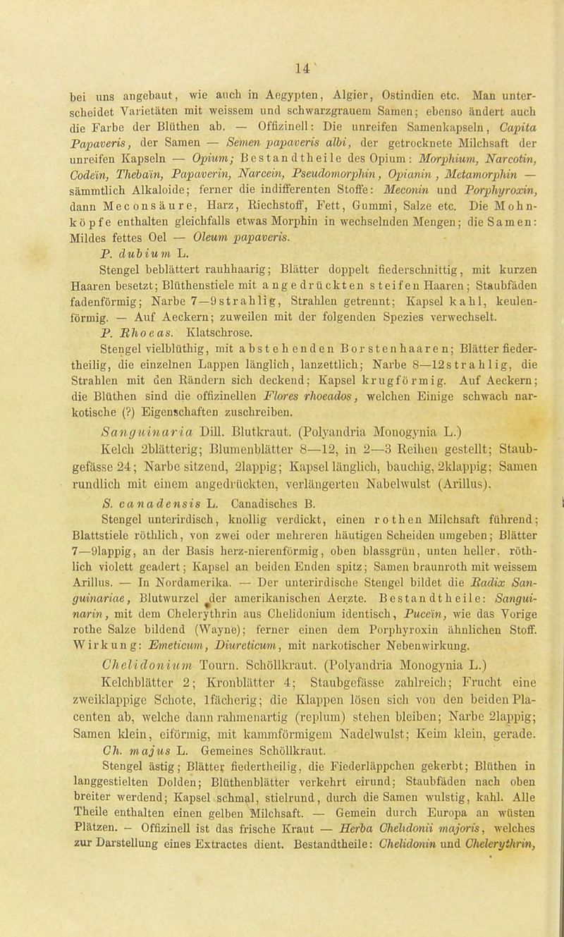 bei uns angebaut, wie auch in Aegypten, Algier, Ostindien etc. Man unter- scheidet Varietäten mit weissem und schwarzgrauem Samen; ebenso ändert auch die Farbe der Blüthen ab. — Offizineil: Die unreifen Samenkapseln, Capita Papaveris, der Samen — Semen papaveris albi, der getrocknete Milchsaft der unreifen Kapseln — Opium; B es tan d th ei le des Opium: Morphium, Narcotin, Codein, Thebain, Papaverin, Narcein, Pseudomorphin, Opianin , Metamorphin — sämmtlich Alkaloide; ferner die indifferenten Stoffe: Meconin und Porphyroxin, dann Meconsäure, Harz, Riechstoff, Fett, Gummi, Salze etc. Die Mohn- köpfe enthalten gleichfalls etwas Morphin in wechselnden Mengen; die Samen: Mildes fettes Oel — Oleum papaveris. P. dubium L. Stengel beblättert rauhhaarig; Blätter doppelt fiederschnittig, mit kurzen Haaren besetzt; Blüthenstiele mit angedrückten s teifen Haaren; Staubfaden fadenförmig; Narbe 7—9strahlig, Strahlen getrennt; Kapsel kahl, keulen- förmig. — Auf Aeckern; zuweilen mit der folgenden Spezies verwechselt. P. Ehoeas. Klatschrose. Stengel vielblüthig, mit abstehenden Borstenhaaren; Blätter fieder- theilig, die einzelnen Lappen länglich, lanzettlich; Narbe S—12s t r a h 1 ig, die Strahlen mit den Rändern sich deckend; Kapsel krugförmig. Auf Aeckern; die Blüthen sind die offizinellen Flores rhoeados, welchen Einige schwach nar- kotische (?) Eigenschaften zuschreiben. Sanguinaria Dill. Blutkraut. (Polyandria Monogynia L.) Kelch ^blätterig; Blumenblätter 8—12, in 2—3 Reihen gestellt; Staub- gefässe24; Narbe sitzend, 21appig; Kapsel länglich, bauchig, 2klappig; Samen rundlich mit einem angedrückten, verlängerten Naberwulst (Arillus). S. canadensis L. Canadisches B. Stengel unterirdisch, knollig verdickt, einen ro then Milchsaft führend; Blattstiele röthlich, von zwei oder mehreren häutigen Scheiden umgeben; Blätter 7—91appig, an der Basis herz-nierenfürmig, oben blassgrün, unten heller, röth- lich violett geädert; Kapsel an beiden Enden spitz; Samen braunroth mit weissem Arillus. — In Nordamerika. — Der unterirdische Stengel bildet die Radix San- guinariae, Blutwurzel ^der amerikanischen Aerzte. Bestandtheile: Sangui- narin, mit dem Chelerythrin aus Chelidonium identisch, Pucc'in, wie das Vorige rothe Salze bildend (Wayne); ferner einen dem Porphyroxin ähnlichen Stoff. Wirkung: Emeticum, Diureticum, mit narkotischer Nebenwirkung. Chelidonium Tourn. Schöllkraut. (Polyandria Monogynia L.) Kelchblätter 2; Kronblätter 4; Staubgcfasse zahlreich; Frucht eine zweiklappigc Schote, lfächerig; die Klappen lösen sich von den beiden Pla- centen ab, welche dann rahmenartig (replüm) stehenbleiben; Narbe 21appig; Samen klein, eiförmig, mit kammförmigem Nadelwulst; Keim klein, gerade. Ch. majus L. Gemeines Schöllkraut. Stengel ästig; Blätter fiedertheilig, die Fiederläppchen gekerbt; Blüthen in langgestielten Dolden; Blüthenblätter verkehrt eirund; Staubfäden nach oben breiter werdend; Kapsel schmal, stielrund, durch die Samen wulstig, kahl. Alle Theile enthalten einen gelben Milchsaft. — Gemein durch Europa an wüsten Plätzen. — Offizinell ist das frische Kraut — Herba Cheltdmiii majoris, welches zur Darstellung eines Extractes dient. Bestandtheile: Ghelidonin und Clieleryihrin,