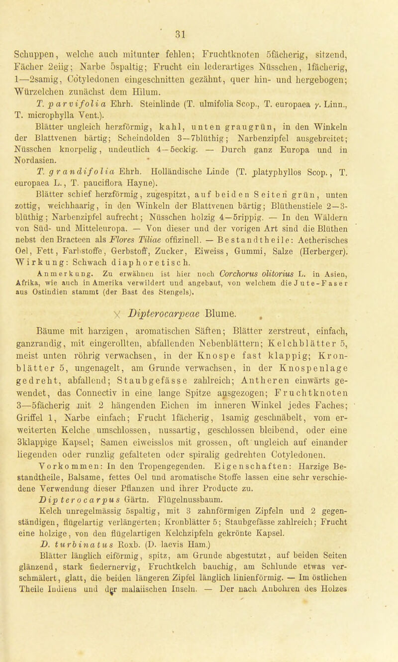 Schuppen, welche auch mitunter fehlen; Fruchtknoten 5fächerig, sitzend, Fächer 2eiig; Narbe öspaltig; Frucht ein lederartiges Nüsschen, lfächerig, 1—2samig, Cötyledonen eingeschnitten gezähnt, quer hin- und hergebogen; Würzelchen zunächst dem Hiluin. T. p arvifoli a Ehrh. Steinlinde (T. ulmifolia Scop., T. europaea /.Linn., T. microphylla Vent.). Blätter ungleich herzförmig, kahl, unten graugrün, in den Winkeln der Blattvenen bärtig; Scheindolden 3—7blüthig; Narbenzipfel ausgebreitet; Nüsschen knorpelig, undeutlich 4—öeckig. — Durch ganz Europa und in Nordasien. T. g r andif olia Ehrh. Holländische Linde (T. jdatyphyllos Scop., T. europaea L., T. pauciflora Hayne). Blätter schief herzförmig, zugespitzt, auf beiden Seiten grün, unten zottig, weichhaarig, in den Winkeln der Blattvenen bärtig; Blütheustiele 2—3- blüthig; Nai'benzipfel aufrecht; Nüsschen holzig 4—örippig. — In den Wäldern von Süd- und Mitteleuropa. — Von dieser und der vorigen Art sind die Bliithen nebst denBracteen als Flores Tiliae offizineil. — Bestandtheile: Aetherisches Oel, Fett, Farlistoffe, Gerbstoff, Zucker, Eiweiss, Gummi, Salze (Herberger). Wirkung: Schwach diaphoretisch. AnmerkuDg. Zu erwähneu ist hier uoch Corchorus olitorius L. in Asien, Afrika, wie auch in Amerika verwildert und angebaut, von welchem die J u t e-F a b e r aus Ostindien stammt (der Bast des Stengels). V Dijpterocarpeae Blume. Bäume mit harzigen, aromatischen Säften; Blätter zerstreut, einfach, ganzrandig, mit eingerollten, abfallenden Nebenblättern; Kelchblätter 5, meist unten röhrig verwachsen, in der Knospe fast klappig; Kron- blätter 5, ungenagelt, am Grunde verwachsen, in der Knospenlage gedreht, abfallend; Staubgefässe zahlreich; Antheren einwärts ge- wendet, das Connectiv in eine lange Spitze ausgezogen; Fruchtknoten 3—öfächerig mit 2 hängenden Eichen im inneren Winkel jedes Faches; Griffel 1, Narbe einfach; Frucht lfächerig, lsamig geschnäbelt, vom er- weiterten Kelche umschlossen, nussartig, geschlossen bleibend, oder eine 3klappige Kapsel; Samen eiweisslos mit grossen, oft ungleich auf einander liegenden oder runzlig gefalteten oder spiralig gedrehten Cotyledonen. Vorkommen: In den Tropengegenden. Eigenschaften: Harzige Be- standteile, Balsame, fettes Oel und aromatische Stoffe lassen eine sehr verschie- dene Verwendung dieser Pflanzen und ihrer Producte zu. Dip terocarpus Gärtn. Flügelnussbaum. Kelch unregelmässig öspaltig, mit 3 zahnförmigen Zipfeln und 2 gegen- ständigen , flügelartig verlängerten; Kronblätter 5; Staubgefässe zahlreich; Frucht eine holzige, von deu flügelartigen Kelchzipfeln gekrönte Kapsel. D. turbinatus Roxb. (D. laevis Harn.) Blätter länglich eiförmig, spitz, am Grunde abgestutzt, auf beiden Seiten glänzend, stark fiedernervig, Fruchtkelch bauchig, am Schlünde etwas ver- schmälert, glatt, die beiden längeren Zipfel länglich linienförmig. — Im östlichen Theile Indiens und der malaiischen Inseln. — Der nach Anbohren des Holzes