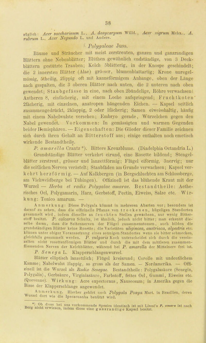 züglich: Acer saccharinum L., A. dasycarpum Willd., Acer nigrum Mchx., A. rubrum L., Acer Negundo L. und Andere. folygaleae Juss. Bäume und Sträucher uüt meist zerstreuten, ganzen und ganzrandigen Blättern ohne Nebenblätter; Blüthen gewöhnlich endstäudige, von 3 Deck- blättern gestützte Trauben; Kelch 5blätterig, in der Knospe geschindelt; die 2 innersten Blätter (Alae) grösser, blumenblattartig; Krone unregel- mässig, ötheilig, 21ippig oft mit kannefürmigein Anhange, oben der Länge nach gespalten, die 3 oberen Blätter nach unten, die 2 unteren nach oben gewendet; Staubgefässe in eine, nach oben 2bündelige, Röhre verwachsen; Antheren 8, einfächerig, mit einem Loche aufspringend; Fruchtkoten' 2fächerig, mit einzelnen, anatropen hängenden Eichen. — Kapsel seitlich zusammengedrückt, 2klappig, 2 oder lfächerig; Samen eiweisshaltig, häufig mit einem Nabelwulste versehen; Embryo gerade, Würzelchen gegen den Nabel gewendet. Vorkommen: In gemässigten und wannen Gegenden beider Hemisphären. — Eigenschaft en: Die Glieder dieser Familie zeichnen sich durch ihren Gehalt an Bitterstoff aus; einige enthalten noch emetisch wirkende Bestandteile. P. amare IIa.Crantz *). Bittere Kreuzblume. (Diadelphia Octandria L.) Grundständige Blätter verkehrt eirund, eine Rosette bildend; Stengel- blätter zerstreut, grösser und lanzettförmig; Flügel eiförmig, 3nervig; nur die seitlichen Nerven verästelt ; Staubfäden am Grunde verwachsen; Kapsel ver- k ehr t h e r zf ö r m i g. — Auf Kalkbergen (in Bergschluchten am Schlossberge, am Viehweidberge bei Tübingen). Offizineil ist das blühende Kraut mit der Wurzel — Herba et radix Polygalae amarae. Bestandtheile: Aethe- risches Oel, Polygamarin, Harz, Gerbstoff, Pectin, Eiweiss, Salze etc. Wir- kung: Tonico amarum. — Anmerkung: Diese Polygala kömmt In mehreren Abarten vor; besonders ist darauf zu sehen, dass die offtzinelle Pflanze von trockenen, hügeligen Standorten gesammelt wird, indem dieselbe an feuchten Stellen gewachsen, nur wenig Bitter- stoff besitzt. P. calcarca Schnitz, ist ähnlich, jedoch nicht bitter; man erkennt die- selbe daran, dass die Soitcnucrven der Flügel zusammenstossen, auch bilden die grundständigen Blätter keine Hosette; die Varietäten uliginosa, austriaca, alpestris etc. können unter obiger Voraussetzung eines sonnigen Standortes wenn sie bitter schmecken, gleichfalls gesammelt werden. P. vulgaris Koch unterscheidet sich durch die verein- zelten nicht rosettenförinigen Blätter und durch die mit. dem mittleren zusammen- fliessenden Nerven der Kelchblätter, während bei P. amarella der Mittelncrv frei ist. P. Senega L. Klapperschlangenwurzel. Blätter elliptisch lanzettlich; Flügel kreisrund; Corolle mit undeutlichem Kamme; Nabelwulst 21appig, so gross als der Samen. — Nordamerika. — Offi- zinell ist die Wurzel als Badix Senegae. Bestandtheile: Polygalasäure (Senegin, Polygalin), Gerbsäure, Virginiasäure, Farbstoff, fettes Oel, Gummi, Eiweiss etc. (Quevcnne). Wirkung: Acre expectoraus , Nauseosum; in Amerika gegen die Bisse der Klapperschlange angewendet. Anmerkung. Hierher gehört noch Polygala Poaya Märt, in Brasilien, deren Wurzel dort wie die Ipecacnanha benützt wird. n«Jli!?& fSlSH ,)ei n.8 vorl>mmende Spezies identisch ist mit Linne's P. umara ist nach neig meut eiwiescn, indem diese eine gnnzrundigo Kapsel besitzt.