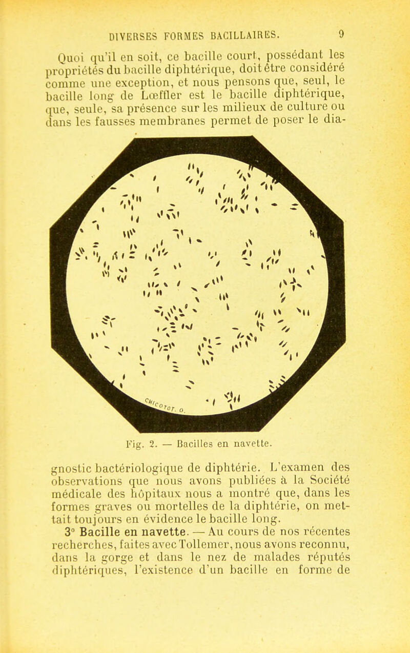 Quoi qu'il en soit, ce bacille court, possédant les propriétés du bacille diphtérique, doit être considéré comme une exception, et nous pensons que, seul, le bacille long de LœfÛer est le bacille diphtérique, que, seule, sa présence sur les milieux de culture ou dans les fausses membranes permet de poser le dia- Fig. 2. — Bacilles en navette. gnostic bactériologique de diphtérie. L'examen des observations que nous avons publiées à, la Société médicale des hôpitaux nous a montré que, dans les formes graves ou mortelles de la diphtérie, on met- tait toujours en évidence le bacille long. 3° Bacille en navette. — Au cours de nos récentes recherches, faites avecTollemer, nous avons reconnu, dans la gorge et dans le nez de malades réputés diphtériques, l'existence d'un bacill-e en forme de