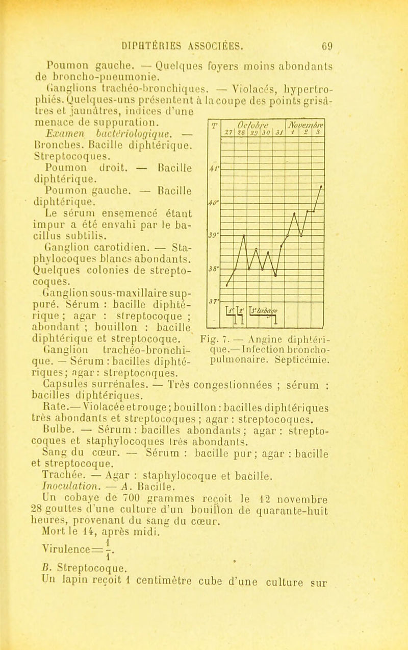 Poumon gauche. — Quelques foyers moins abondants de broncho-pneumonie. (langlions trachéo-hroncbiquos. — Violacés, hypertro- phiés. Quelques-uns présentent à la coupe des points grisâ- tres et jauiidtros, indices d'une menace de suppuration. Examen back'violoijiqne. — Uronches. Bacille diphtérique. Streptocoques. Poumon droit. — Bacille diphtérique. Poumon gauche. — Bacille diphtérique. Le sérun> ensemencé étant impur a été envahi par le ba- cillus subtilis. Ganglion carotidien. — Sta- phylocoques blancs abondants. Quelques colonies de strepto- coques. Ganglion sous-maxillaire sup- puré. Sérum : bacille diphté- rique ; agar : slreptocoque ; abondant ; bouillon : bacille diphtérique et streptocoque. Fig. 7. — An.sine diphtéri- Ganglion trachéo-bronchi- que.— Infection broncho- que. - Sérum: bacilles diphlé- pulmonaire. Septicémie, riques; ngar: streptocoques. Capsules surrénales. — Très congestionnées ; sérum : bacilles diphtériques. Rate.—Violacée et rouge; bouillon: bacilles diphtériques très abondants et streptocoques ; agar : streptocoques. Bulbe. — Sérum : bacilles abondants; agar: strepto- coques et staphylocoques Irés abondants. Sang du cœur. — Sérum : bacille pur; agar : bacille et streptocoque. Trachée. — Agar : staphylocoque et bacille. Inoculation. —A. Bacille. Un cobaye de 700 grammes reçoit le 12 novembre 28 gouttes dune culture d'un bouillon de quarante-huit heures, provenant du sang du cœur. Mort le 14, après midi. Virulence= -. B. Streptocoque. Un lapin reçoit 1 centimètre cube d'une culture sur