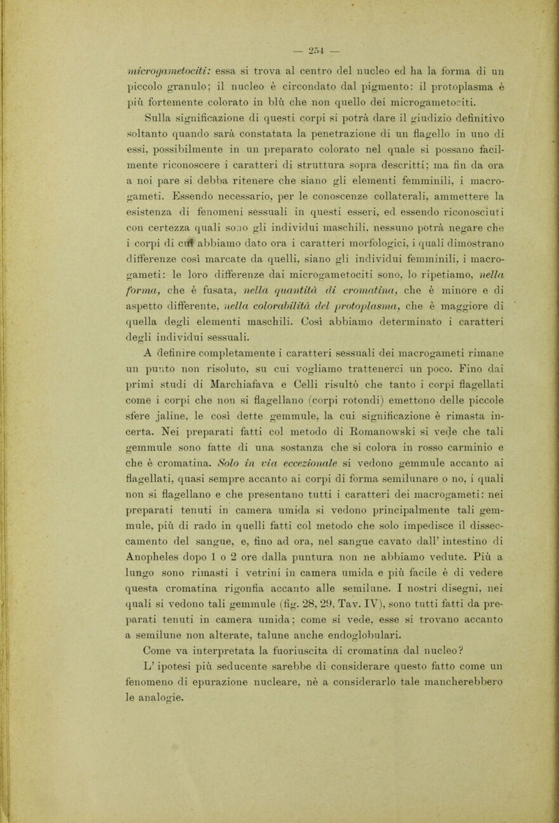 ìnicTogametocitì: essa si trova al centro del nucleo ed ha la forma di un piccolo granulo; il nucleo è circondato dal pigmento: il protoplasma è più fortemente colorato in blù che non quello dei microgametociti. Sulla significazione di questi corpi si potrà dare il giudizio definitivo soltanto quando sarà constatata la penetrazione di un flagello in uno di essi, possibilmente in un preparato colorato nel quale si possano facil- mente riconoscere i caratteri di struttura sopra descritti; ma fin da ora a noi pare si debba ritenere che siano gli elementi femminili, i macro- gameti. Essendo necessario, per le conoscenze collaterali, ammettere la esistenza di fenomeni sessuali in questi esseri, ed essendo riconosciuti con certezza quali sono gli individui maschili, nessuno potrà negare che i corpi di cui abbiamo dato ora i caratteri morfologici, i quali dimostrano differenze cosi marcate da quelli, siano gli individui femminili, i macro- gameti: le loro differenze dai microgametociti sono, lo ripetiamo, nella formay che è fusata, nella quantità di cromatina, che è minore e di aspetto differente, nella colorabilità del protoplasma, che è maggiore di quella degli elementi maschili. Cosi abbiamo determinato i caratteri degli individui sessuali. A definire completamente i caratteri sessuali dei macrogameti rimane un punto non risoluto, su cui vogliamo trattenerci un poco. Fino dai primi studi di Marchiafava e Celli risultò che tanto i corpi flagellati come i corpi che non si flagellano (corpi rotondi) emettono delle piccole sfere jaline, le cosi dette gemmule, la cui significazione è rimasta in- certa. Nei preparati fatti col metodo di Romanowski si vede che tali gemmule sono fatte di una sostanza che si colora in rosso carminio e che è cromatina. Solo in via eccezionale si vedono gemmule accanto ai flagellati, quasi sempre accanto ai corpi di forma semilunare o no, i quali non si flagellano e che presentano tutti i caratteri dei macrogameti: nei preparati tenuti in camera umida si vedono principalmente tali gem- mule, più di rado in quelli fatti col metodo che solo impedisce il dissec- camento del sangue, e, fino ad ora, nel sangue cavato dall' intestino di Anopheles dopo 1 o 2 ore dalla puntura non ne abbiamo vedute. Più a lungo sono rimasti i vetrini in camera umida e più facile è di vedere questa cromatina rigonfia accanto alle semilune. I nostri disegni, nei quali si vedono tali gemmule (fig. 28, 29, Tav. IV), sono tutti fatti da pre- parati tenuti in camera umida ; come si vede, esse si trovano accanto a semilune non alterate, talune anche endoglobulari. Come va interpretata la fuoriuscita di cromatina dal nucleo? L'ipotesi più seducente sarebbe di considerare questo fatto come un fenomeno di epurazione nucleare, nè a considerarlo tale mancherebbero le analogie.