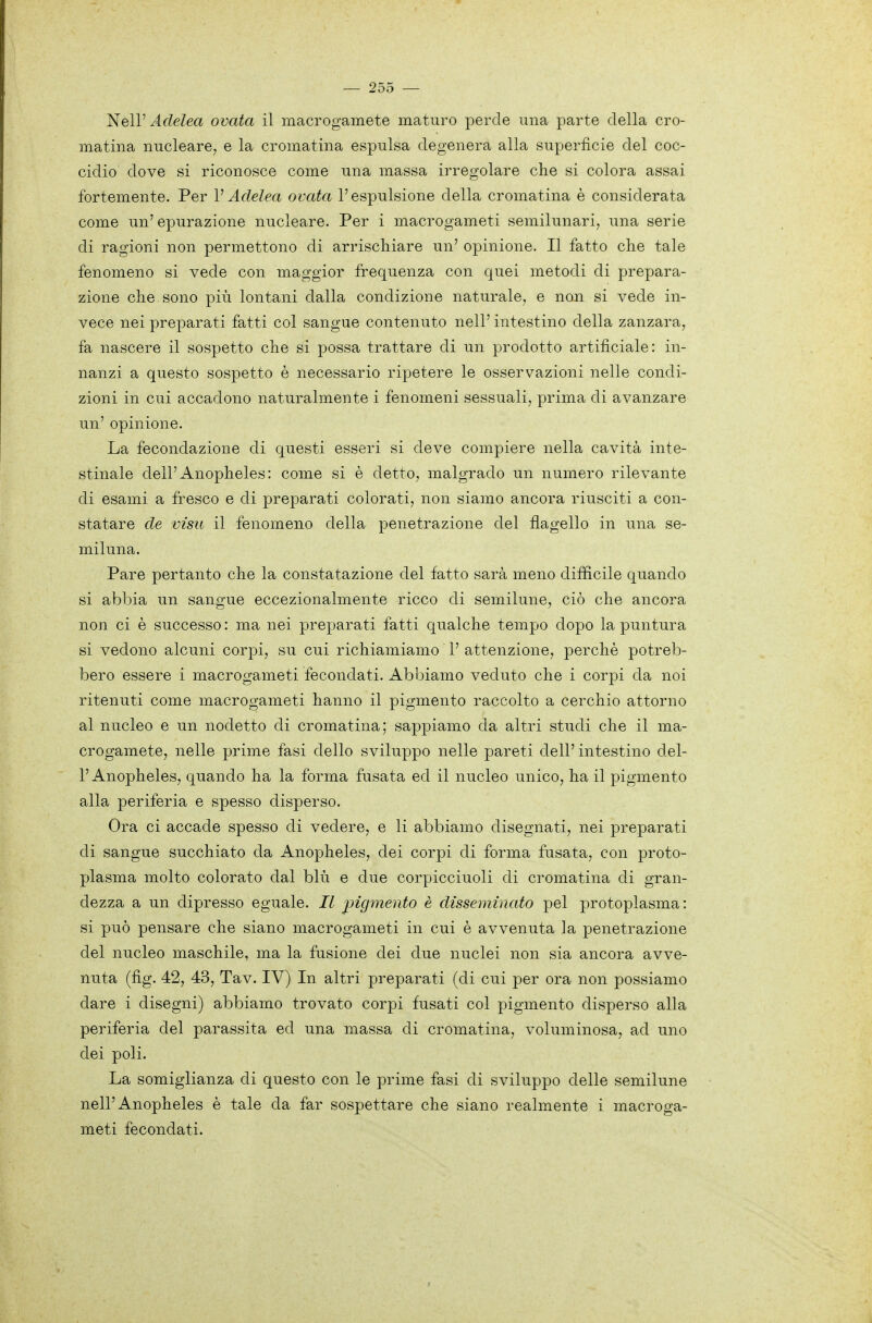 ì^eìV Adelea ovata il macrogamete maturo perde una parte della cro- matina nucleare, e la cromatina espulsa degenera alla superficie del coc- cidio dove si riconosce come una massa irregolare che si colora assai fortemente. Per V Adelea ovata l'espulsione della cromatina è considerata come un' epurazione nucleare. Per i macrogameti semilunari, una serie di ragioni non permettono di arrischiare un' opinione. Il fatto che tale fenomeno si vede con maggior frequenza con quei metodi di prepara- zione che sono più lontani dalla condizione naturale, e non si vede in- vece nei preparati fatti col sangue contenuto nell' intestino della zanzara, fa nascere il sospetto che si possa trattare di un prodotto artificiale: in- nanzi a questo sospetto è necessario ripetere le osservazioni nelle condi- zioni in cui accadono naturalmente i fenomeni sessuali, prima di avanzare un' opinione. La fecondazione di questi esseri si deve compiere nella cavità inte- stinale dell'Anopheles: come si è detto, malgrado un numero rilevante di esami a fresco e di preparati colorati, non siamo ancora riusciti a con- statare de visu il fenomeno della penetrazione del flagello in una se- miluna. Pare pertanto che la constatazione del fatto sarà meno diffìcile quando si abbia un sangue eccezionalmente ricco di semilune, ciò che ancora non ci è successo : ma nei preparati fatti qualche tempo dopo la puntura si vedono alcuni corpi, su cui richiamiamo 1' attenzione, perchè potreb- bero essere i macrogameti fecondati. Abbiamo veduto che i corpi da noi ritenuti come macrogameti hanno il pigmento raccolto a cerchio attorno al nucleo e un nodetto di cromatina; sappiamo da altri studi che il ma- crogamete, nelle prime fasi dello sviluppo nelle pareti dell' intestino del- l' Anopheles, quando ha la forma fusata ed il nucleo unico, ha il pigmento alla periferia e spesso disperso. Ora ci accade spesso di vedere, e li abbiamo disegnati, nei preparati di sangue succhiato da Anopheles, dei corpi di forma fusata, con proto- plasma molto colorato dal blu e due corpicciuoli di cromatina di gran- dezza a un dipresso eguale. Il pigmento è disseminato pel protoplasma: si può pensare che siano macrogameti in cui è avvenuta la penetrazione del nucleo maschile, ma la fusione dei due nuclei non sia ancora avve- nuta (fig. 42, 43, Tav. IV) In altri preparati (di cui per ora non possiamo dare i disegni) abbiamo trovato corpi fusati col pigmento disperso alla periferia del parassita ed una massa di cromatina, voluminosa, ad uno dei poli. La somiglianza di questo con le prime fasi di sviluppo delle semilune nell'Anopheles è tale da far sospettare che siano realmente i macroga- meti fecondati.