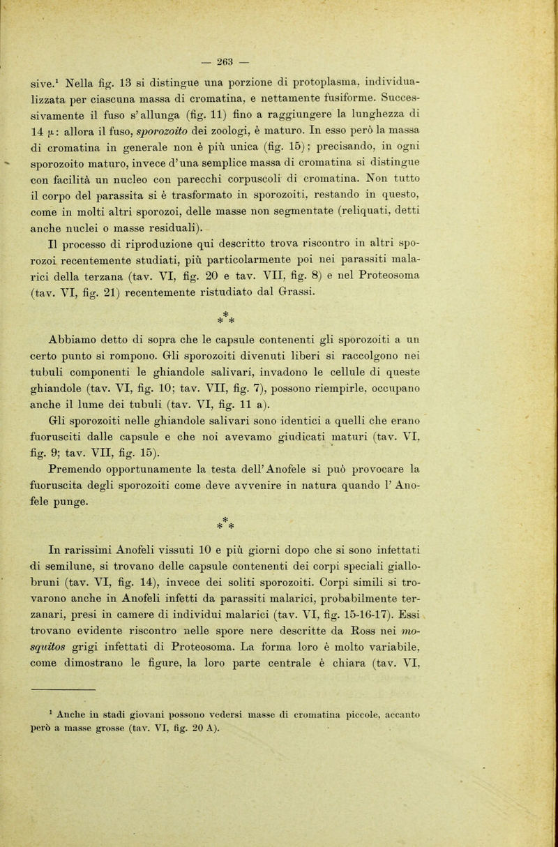 sive/ Nella fig. 13 si distingue una porzione di protoplasma, individua- lizzata per ciascuna massa di cromatina, e nettamente fusiforme. Succes- sivamente il fuso s'allunga (fìg. 11) fino a raggiungere la lunghezza di 14 fx : allora il fuso, sporozoito dei zoologi, è maturo. In esso però la massa di cromatina in generale non è più unica (fig. 15) ; precisando, in ogni sporozoito maturo, invece d'una semplice massa di cromatina si distingue con facilità un nucleo con parecchi corpuscoli di cromatina. Non tutto il corpo del parassita si è trasformato in sporozoiti, restando in questo, come in molti altri sporozoi, delle masse non segmentate (reliquati, detti a,nche nuclei o masse residuali). Il processo di riproduzione qui descritto trova riscontro in altri spo- rozoi recentemente studiati, più particolarmente poi nei parassiti mala- rici della terzana (tav. VI, fig. 20 e tav. VII, fig. 8) e nel Proteosoma (tav. VI, fig. 21) recentemente ristudiato dal Grassi. Abbiamo detto di sopra che le capsule contenenti gli sporozoiti a un certo punto si rompono. Gli sporozoiti divenuti liberi si raccolgono nei tubuli componenti le ghiandole salivari, invadono le cellule di queste ghiandole (tav. VI, fig. 10; tav. VII, fig. 7), possono riempirle, occupano anche il lume dei tubuli (tav. VI, fig. 11 a). Gli sporozoiti nelle ghiandole salivari sono identici a quelli che erano fuorusciti dalle capsule e che noi avevamo giudicati maturi (tav. VI, fig. 9; tav. VII, fig. 15). Premendo opportunamente la testa dell'Anofele si può provocare la fuoruscita degli sporozoiti come deve avvenire in natura quando V Ano- fele punge. * In rarissimi Anofeli vissuti 10 e più giorni dopo che si sono infettati di semilune, si trovano delle capsule contenenti dei corpi speciali giallo- bruni (tav. VI, fig. 14), invece dei soliti sporozoiti. Corpi simili si tro- varono anche in Anofeli infetti da parassiti malarici, probabilmente ter- zanari, presi in camere di individui malarici (tav. VI, fig. 15-16-17). Essi trovano evidente riscontro nelle spore nere descritte da Ross nei mo- squitos grigi infettati di Proteosoma. La forma loro è molto variabile, come dimostrano le figure, la loro parte centrale è chiara (tav. VI, ^ Anche in stadi giovani possono vedersi masse di cromatina piccole, accanto però a masse grosse (tav. VI, fig. 20 A).