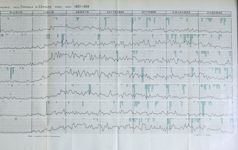 lALARici nell'Ospedale oiS.Spirito negli anni 1892-1898