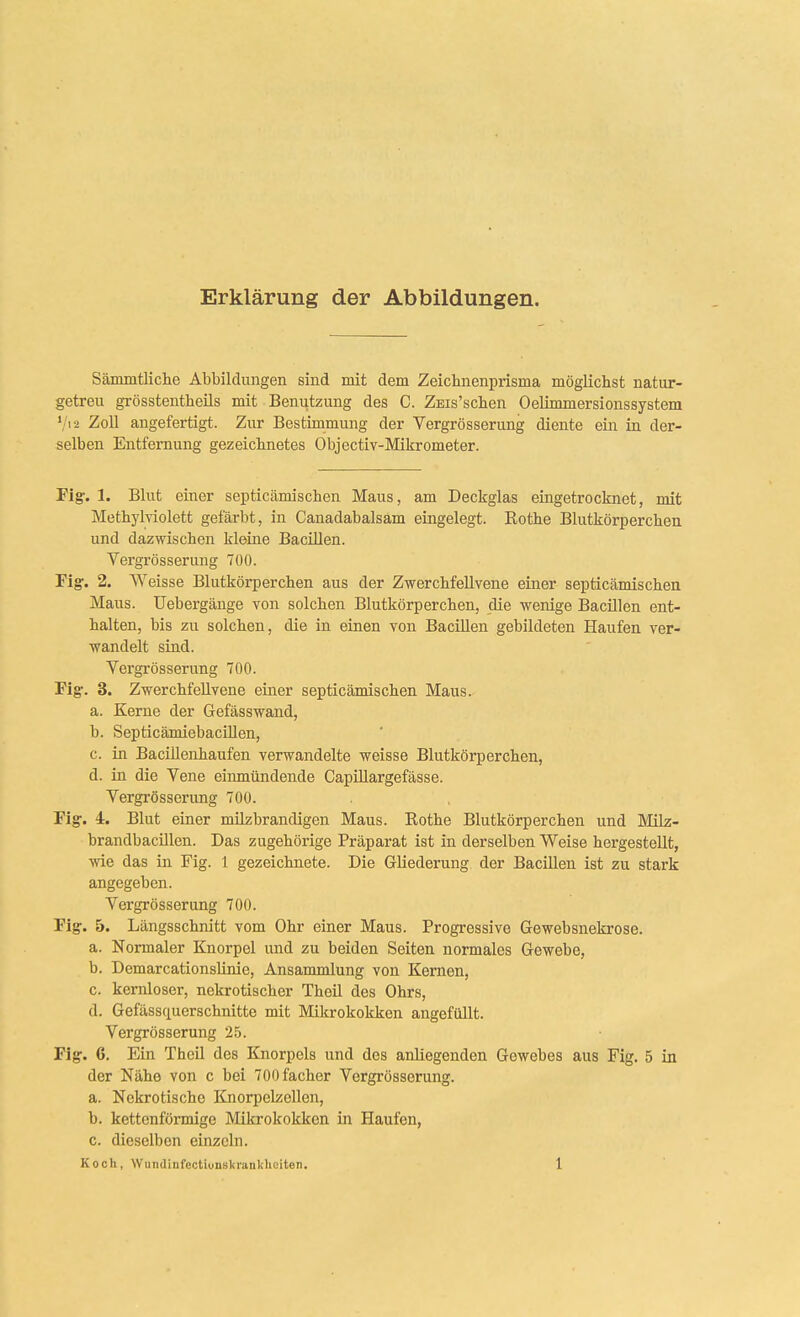 Erklärung der Abbildungen. Sämmtliclie Abbildungen sind mit dem Zeichnenprisma möglichst natur- getreu grösstentheils mit Benutzung des C. Zsis'schen Oelimmersionssystem Vi 2 Zoll angefertigt. Zur Bestimmung der Vergrösserung diente ein in der- selben Entfernung gezeichnetes Objectiv-Mikrometer. Fig. 1. Blut einer septicämischen Maus, am Deckglas eingetrocknet, mit Methylviolett gefärbt, in Canadabalsam eingelegt. Kothe Blutkörperchen und dazwischen kleine Bacillen. Vergrösserung 7Ü0. Fig:. 2. Weisse Blutkörperchen aus der Zwerchfellvene einer septicämischen Maus, üebergänge von solchen Blutkörperchen, die wenige Bacillen ent- halten, bis zu solchen, die in einen von Bacillen gebildeten Haufen ver- wandelt sind. Vergrösserung 700. Fig. 3. Zwerchfellvene einer septicämischen Maus. a. Kerne der Gefässwand, b. Septicämiebacillen, c. in Bacillenhaufen verwandelte weisse Blutkörperchen, d. in die Vene eiimiündende Capillargefässe. Vergrösserung 700. Fig. 4. Blut einer müzbrandigen Maus. Rothe Blutkörperchen und Müz- brandbacillcn. Das zugehörige Präparat ist in derselben Weise hergestellt, wie das in Fig. 1 gezeichnete. Die Gliederung der Bacillen ist zu stark angegeben. Vergrösserung 700. Fig. 5. Längsschnitt vom Ohr einer Maus. Progressive Gewebsnekrose. a. Normaler Knorpel und zu beiden Seiten normales Gewebe, b. Demarcationslinie, Ansammlung von Kernen, c. kernloser, nekrotischer Theü des Ohrs, d. Gefässciuerschnitte mit Mikrokokken angefüllt. Vergrösserung 2.5. Fig. 6. Ein Theil des Knorpels und des anliegenden Gewebes aus Fig. 5 in der Nähe von c bei 700facher Vergrösserung. a. Nekrotische Knorpelzellen, b. kettenförmige Mikrokokken in Haufen, c. dieselben einzeln.