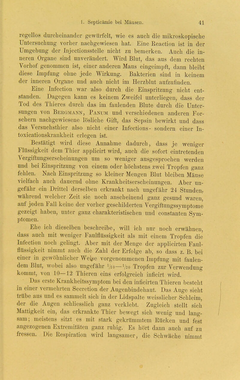 regellos durcheinander gewürfelt, wie es auch die mikroskopische Untersuchung vorher nachgewiesen hat. Eine Reaction ist in der Umgebiing der Injectionsstelle nicht zu bemerken. Auch die in- neren Organe sind unverändert. Wird Blut, das aus dem rechten Vorhof genommen ist, einer anderen Maus eingeimpft, dann bleibt diese Impfung ohne jede Wirkung. Bakterien sind in keinem der inneren Organe und auch nicht im Herzblut aufzufinden. Eine Infection war also durch die Einspritzung nicht ent- standen. Dagegen kann es keinem Zweifel unterliegen, dass der Tod des Thieres durch das im faulenden Blute durch die Unter- sungen von Bergmann, Panum und verschiedenen anderen For- schern nachgewiesene lösliche Gift, das Sepsin bewirkt und dass das Versuchsthier also nicht einer Infections- sondern einer In- toxicationskrankheit erlegen ist. Bestätigt wird diese Annahme dadurch, dass je weniger Flüssigkeit dem Thier applicirt wird, auch die sofort eintretenden Vergiftungserscheinungen um so weniger ausgesprochen werden und bei Einspritzung von einem oder höchstens zwei Tropfen ganz fehlen. Nach Einspritzung so kleiner Mengen Blut bleiben Mäuse vielfach auch dauernd ohne Krankheitserscheinungen. Aber un- gefähr ein Drittel derselben erkrankt nach ungefähr 24 Stunden, während welcher Zeit sie noch anscheinend ganz gesund waren, auf jeden Fall keine der vorher geschilderten Vergiftungssymptome gezeigt haben, unter ganz charakteristischen und constanten Sym- ptomen. Ehe ich dieselben beschreibe, will ich nur noch erwähnen, dass auch mit weniger Faulflüssigkeit als mit einem Tropfen die Infection noch gelingt. Aber mit der Menge der applicirten Faul- flüssigkeit nimmt auch die Zahl der Erfolge ab, so dass z. B. bei einer in gewöhnlicher Weiße vorgenommenen Impfung mit faulen- dem Blut, wobei also ungefähr Vto—V20 Tropfen zur Verwendung kommt, von 10—12 Thieren eins erfolgreich inflcirt wird. Das erste Krankheitssymptom bei den inficirten Thieren besteht in einer vermehrten Secretion der Augenbindehaut. Das Auge sieht trübe aus und es sammelt sich in der Lidspalte weisslicher Schleim, der die Augen schliesslich ganz verklebt. Zugleich stellt sich Mattigkeit ein, das erkrankte Thier bewegt sich wenig und lang- sam; meistens sitzt es mit stark gekrümmtem Rücken und fest angezogenen Extremitäten ganz ruhig. Es hört dann auch auf zu fressen. Die Respiration wird langsamer, die Schwäche nimmt