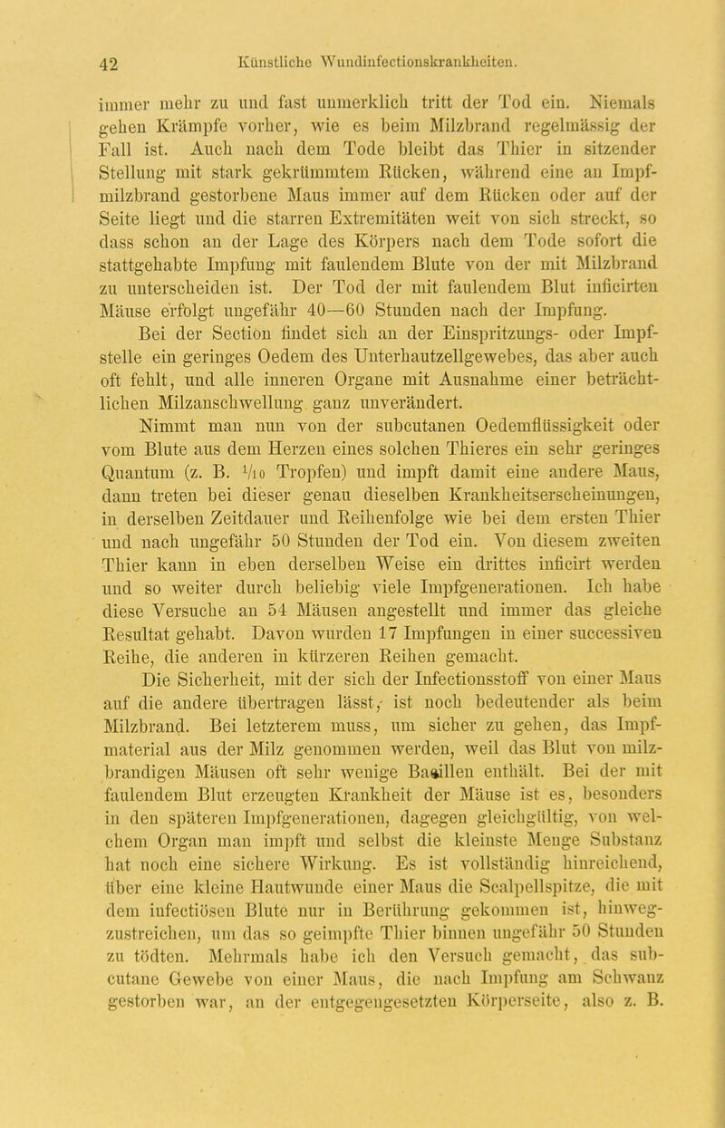 immer mehr zu und fast unmerklich tritt der Tod ein. Niemals 1 gehen Krämpfe vorher, wie es beim Milzbrand regelmässig der \ Fall ist. Auch nach dem Tode bleibt das Thier in sitzender 1 Stellung mit stark gekrümmtem Rücken, während eine an Impf- i milzbrand gestorbene Maus immer auf dem Rücken oder auf der Seite liegt und die starren Extremitäten weit von sich streckt, so dass schon an der Lage des Körpers nach dem Tode sofort die stattgehabte Impfung mit faulendem Blute von der mit Milzbrand zu unterscheiden ist. Der Tod der mit faulendem Blut inficirten Mäuse erfolgt ungefähr 40—60 Stunden nach der Impfung. Bei der Section findet sich an der Einspritzungs- oder Impf- stelle ein geringes Oedem des Unterhautzellgewebes, das aber auch oft fehlt, und alle inneren Organe mit Ausnahme einer beti'ächt- lichen Milzanschwellung ganz unverändert. Nimmt man nun von der subcutanen Oedemflüssigkeit oder vom Blute aus dem Herzen eines solchen Thieres ein sehr geringes Quantum (z. B. Vio Tropfen) und impft damit eine andere Maus, dann treten bei dieser genau dieselben Krankheitserscheinungen, in derselben Zeitdauer und Reihenfolge wie bei dem ersten Thier und nach ungefähr 50 Stunden der Tod ein. Von diesem zweiten Thier kann in eben derselben Weise ein drittes inficirt werden und so weiter durch beliebig viele Impfgenerationen. Ich habe diese Versuche an 54 Mäusen augestellt und immer das gleiche Resultat gehabt. Davon wurden 17 Impfungen in einer successiven Reihe, die anderen in kürzeren Reihen gemacht. Die Sicherheit, mit der sich der Infectionsstoff von einer Maus auf die andere übertragen lässt,- ist noch bedeutender als beim Milzbrand. Bei letzterem muss, um sicher zu gehen, das Impf- material aus der Milz genommen werden, weil das Blut von milz- brandigen Mäusen oft sehr wenige Baaillen enthält. Bei der mit faulendem Blut erzeugten Krankheit der Mäuse ist es, besonders in den späteren Impfgenerationen, dagegen gleichgültig, von wel- chem Organ man impft und selbst die kleinste Menge Substanz hat noch eine sichere Wirkung. Es ist vollständig hinreichend, über eine kleine Hautwunde einer Maus die Scalpellspitze, die mit dem iufectiösen Blute nur in Berührung gekommen ist, hinweg- zustreichen, um das so geimpfte Thier binnen ungefähr 50 Stunden zu tödten. Mehrmals habe ich den Versuch gemacht, das sub- cutane Gewebe von einer Maus, die nach Impfung am Schwanz gestorben war, an der entgegengesetzten Körperseite, also z. B.