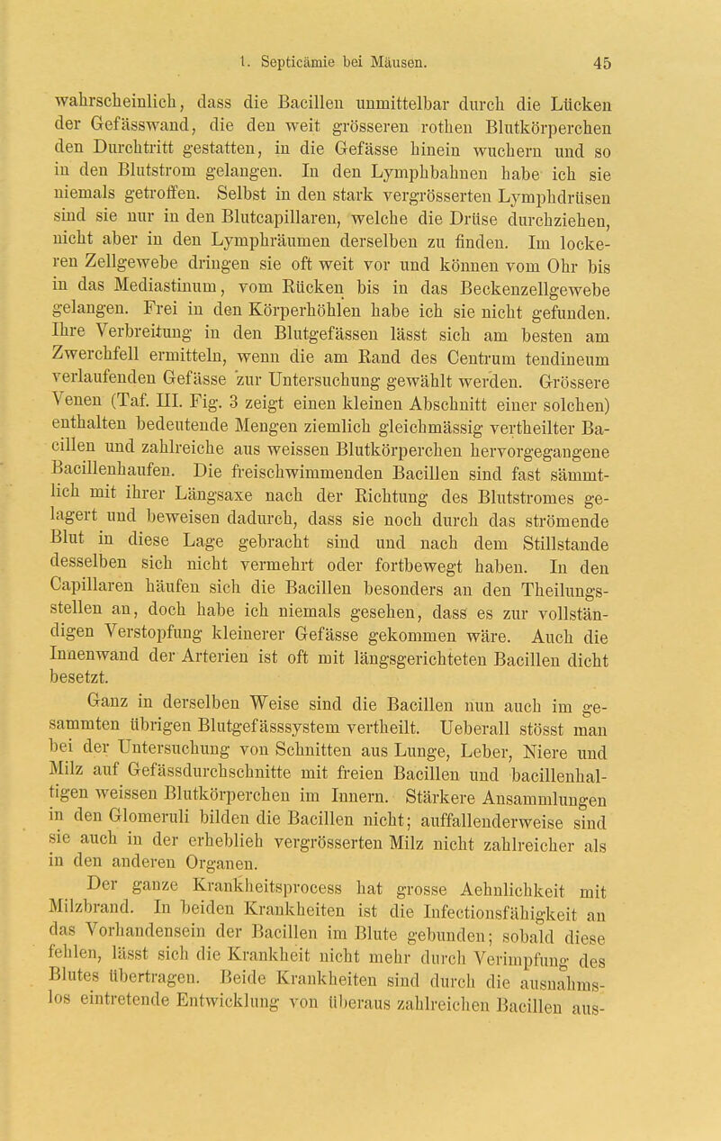 wahrscheinlich, dass die Bacillen unmittelbar durch die Lücken der Gefässwand, die den weit grösseren rothen Blutkörperchen den Durchtritt gestatten, in die Gefässe hinein wuchern und so in den Blutstrom gelangen. In den Lymphbahnen habe ich sie niemals getroffen. Selbst in den stark vergrösserteu Lymphdrüsen sind sie nur in den Blutcapillaren, welche die Drüse durchziehen, nicht aber in den Lymphräumen derselben zu finden. Im locke- ren Zellgewebe dringen sie oft weit vor und können vom Ohr bis in das Mediastinum, vom Rücken bis in das Beckenzellgewebe gelangen. Frei in den Körperhöhlen habe ich sie nicht gefunden. Ihre Verbreitung in den Blutgefässen lässt sich am besten am Zwerchfell ermitteln, wenn die am Rand des Centrum tendineum verlaufenden Gefässe zur Untersuchung gewählt werden. Grössere Venen (Taf. Hl. Fig. 3 zeigt einen kleinen Abschnitt einer solchen) enthalten bedeutende Mengen ziemlich gleichmässig vertheilter Ba- cillen und zahlreiche aus weissen Blutkörperchen hervorgegangene Bacillenhaufen. Die fi-eischwimmenden Bacillen sind fast sämmt- lich mit ihrer Längsaxe nach der Richtung des Blutstromes ge- lagert und beweisen dadurch, dass sie noch durch das strömende Blut in diese Lage gebracht sind und nach dem Stillstande desselben sich nicht vermehrt oder fortbewegt haben. In den Capillaren häufen sich die Bacillen besonders an den Theilungs- stellen an, doch habe ich niemals gesehen, dass es zur vollstän- digen Verstopfung kleinerer Gefässe gekommen wäre. Auch die Innenwand der Arterien ist oft mit längsgerichteten Bacillen dicht besetzt. Ganz in derselben Weise sind die Bacillen nun auch im ge- sammten übrigen Blutgef ässsystem vertheilt. Ueberall stösst man bei der Untersuchung von Schnitten aus Lunge, Leber, Niere und Milz auf Gefässdurchschnitte mit freien Bacillen und bacillenhal- tigen weissen Blutkörperchen im Innern. Stärkere Ansammlungen in den Glomeruli bilden die Bacillen nicht; auffallenderweise sind sie auch in der erheblieh vergrösserteu Milz nicht zahlreicher als in den anderen Organen. Der ganze Krankheitsprocess hat grosse Aehulichkeit mit Milzbrand. In beiden Krankheiten ist die Infectionsfähigkeit an das Vorhandensein der Bacillen im Blute gebunden; sobald diese fehlen, lässt sich die Krankheit nicht mehr durcli Verimpfung des Blutes übertragen. Beide Krankheiten sind durch die ausnahms- los eintretende Entwicklung von üljeraus zahlreichen Bacillen aus-