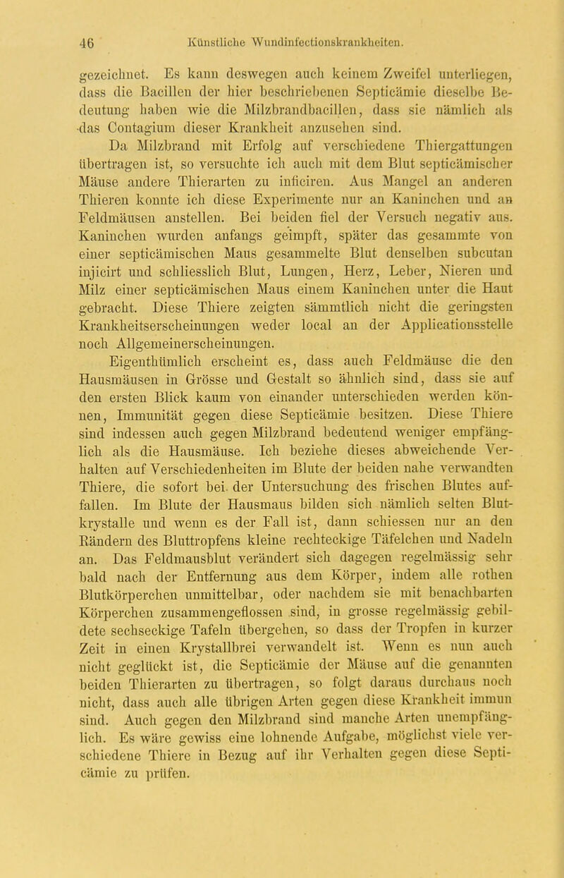 gezeichnet. Es kann deswegen auch keinem Zweifel unterliegen, dass die Bacillen der hier beschriebenen Septicämie dieselbe Be- deutung haben wie die Milzbrandbacillen, dass sie nämlich als ■das Coutagium dieser Krankheit anzusehen sind. Da Milzbrand mit Erfolg auf verschiedene Thiergattungen übertragen ist, so versuchte ich auch mit dem Blut septicämischer Mäuse andere Thierarten zu inticiren. Aus Mangel an anderen Thieren konnte ich diese Experimente nur an Kaninchen und an Feldmäusen anstellen. Bei beiden fiel der Versuch negativ aus. Kaninchen wurden anfangs geimpft, später das gesammte von einer septicämischen Maus gesammelte Blut denselben subcutan injicirt und schliesslich Blut, Lungen, Herz, Leber, Nieren und Milz einer septicämischen Maus einem Kaninchen unter die Haut gebracht. Diese Thiere zeigten sämmtlich nicht die geringsten Krankheitserscheinungen weder local an der Applicationsstelle noch Allgemeinerscheinungen. Eigenthümlich erscheint es, dass auch Feldmäuse die den Hausmäusen in Grösse und Gestalt so ähnlich sind, dass sie auf den ersten Blick kaum von einander unterschieden werden kön- nen, Immunität gegen diese Septicämie besitzen. Diese Thiere sind indessen auch gegen Milzbrand bedeutend weniger empfäng- lich als die Hausmäuse. Ich beziehe dieses abweichende Ver- halten auf Verschiedenheiten im Blute der beiden nahe verwandten Thiere, die sofort bei. der Untersuchung des frischen Blutes auf- fallen. Im Blute der Hausmaus bilden sich nämlich selten Blut- krystalle und wenn es der Fall ist, dann schiessen nur an den Rändern des Bluttropfens kleine rechteckige Täfeichen und Nadeln an. Das Feldmausblut verändert sich dagegen regelmässig sehr bald nach der Entfernung aus dem Körper, indem alle rotheu Blutkörperchen unmittelbar, oder nachdem sie mit benachbarten Körperchen zusammengeflossen sind, in grosse regelmässig gebil- dete sechseckige Tafeln übergehen, so dass der Tropfen in kurzer Zeit in einen Krystallbrei verwandelt ist. Wenn es nun auch nicht geglückt ist, die Septicämie der Mäuse auf die genannten beiden Thierarten zu übertragen, so folgt daraus durchaus noch nicht, dass auch alle übrigen Arten gegen diese Krankheit immun sind. Auch gegen den Milzbrand sind manche Arten unempfäng- lich. Es wäre gewiss eine lohnende Aufgabe, möglichst viele ver- schiedene Thiere in Bezug auf ihr Verhalten gegen diese Septi- cämie zu prüfen.