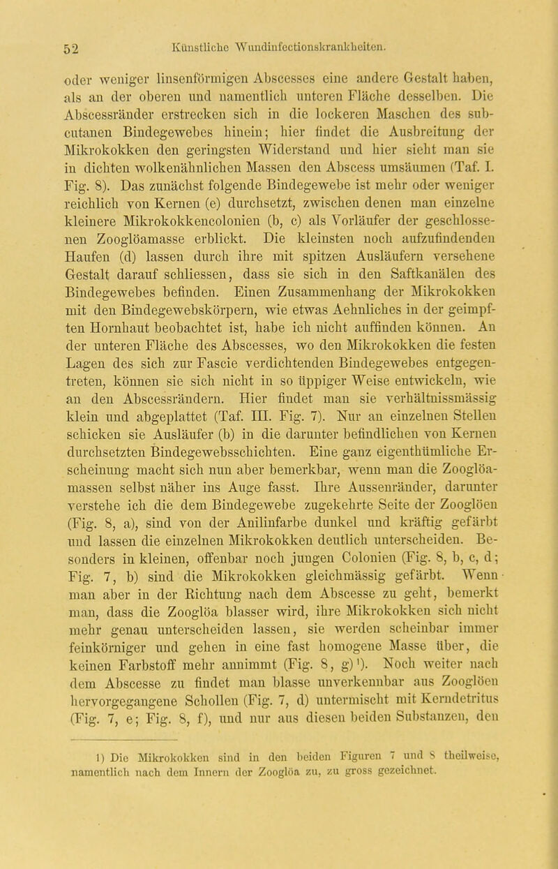 oder weniger linsenförmigen Abscesses eine andere Gestalt haben, als an der oberen und namentlich unteren Fläche desselben. Die Abscessränder erstrecken sich in die lockeren Maschen des sub- cutanen Bindegewebes hinein; hier findet die Ausbreitung der Mikrokokken den geringsten Widerstand und hier sieht man sie in dichten wolkenähnlichen Massen den Abscess umsäumen (Taf. I. Fig. 8). Das zunächst folgende Bindegewebe ist mehr oder weniger reichlich von Kernen (e) durchsetzt, zwischen denen man einzelne kleinere Mikrokokkencolonien (b, c) als Vorläufer der geschlosse- nen Zooglöamasse erblickt. Die kleinsten noch aufzufindenden Haufen (d) lassen durch ihre mit spitzen Ausläufern versehene Gestalt darauf schliessen, dass sie sich in den Saftkanälen des Bindegewebes befinden. Einen Zusammenhang der Mikrokokken mit den Bindegewebskörpern, wie etwas Aehnliches in der geimpf- ten Hornhaut beobachtet ist, habe ich nicht auffinden können. An der unteren Fläche des Abscesses, wo den Mikrokokken die festen Lagen des sich zur Fascie verdichtenden Bindegewebes entgegen- treten, können sie sich nicht in so üppiger Weise entwickeln, wie an den Abscessrändern. Hier findet man sie verhältnissmässig klein und abgeplattet (Taf. IH. Fig. 7). Nur an einzelnen Stelleu schicken sie Ausläufer (b) in die darunter befindlichen von Kernen durchsetzten Bindegewebsschichteu. Eine ganz eigenthümliche Er- scheinung macht sich nun aber bemerkbar, wenn man die Zooglöa- massen selbst näher ins Auge fasst. Ihre Aussenräuder, darunter verstehe ich die dem Bindegewebe zugekehrte Seite der Zooglöen (Fig. 8, a), sind von der Anilinfarbe dunkel imd kräftig gefärbt und lassen die einzelnen Mikrokokken deutlich unterscheiden. Be- sonders in kleinen, offenbar noch jungen Colonien (Fig. 8, b, c, d; Fig. 7, b) sind die Mikrokokken gleichmässig gefärbt. Wenn man aber in der Richtung nach dem Abscesse zu geht, bemerkt man, dass die Zooglöa blasser wird, ihre Mikrokokken sich nicht mehr genau unterscheiden lassen, sie werden scheinbar immer feinkörniger und gehen in eine fast homogene Masse über, die keinen Farbstoff mehr annimmt (Fig. 8, g)')• Noch weiter nach dem Abscesse zu findet man blasse unverkennbar aus Zooglöen hervorgegangene Schollen (Fig. 7, d) untermischt mit Kerndetritus (Fig. 7, e; Fig. 8, f), und nur aus diesen beiden Substanzen, den 1) Die Mikrokokken sind in den beiden Figuren 7 und S theilweisc, namentlich nach dem Innern der Zooglöa zu, zu gross gezeichnet.