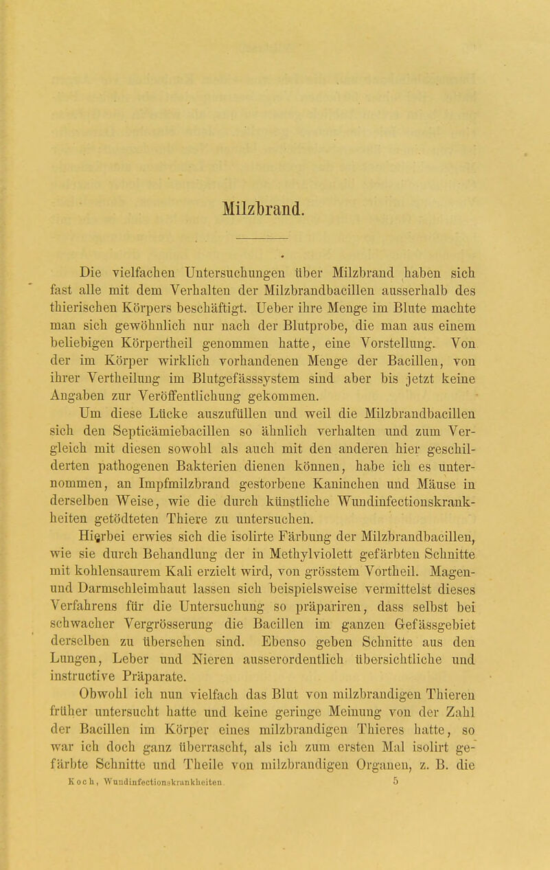 Milzl3rand. Die vielfachen Untersucliungeii über Milzbrand haben sich fast alle mit dem Verhalten der Milzbrandbacillen ausserhalb des thierischen Körpers beschäftigt, lieber ihre Menge im Blute machte man sich gewöhnlich nur nach der Blutprobe, die man aus einem beliebigen Körpertheil genommen hatte, eine Vorstellung. Von der im Körper wirklich vorhandenen Menge der Bacillen, von ihrer Vertheilung im Blutgefässsystem sind aber bis jetzt keine Angaben zur Veröffentlichung gekommen. Um diese Lücke auszufüllen und weil die Milzbrandbacillen sich den Septicämiebacillen so ähnlich verhalten und zum Ver- gleich mit diesen sowohl als auch mit den anderen hier geschil- derten pathogenen Bakterien dienen können, habe ich es unter- nommen, an Impfmilzbrand gestorbene Kaninchen und Mäuse in derselben Weise, wie die durch künstliche Wundinfectionskrank- heiten getödteten Thiere zu untersuchen. Hierbei erwies sich die isolirte Färbung der Milzbrandbacillen, wie sie durch Behandlung der in Methylviolett gefärbten Schnitte mit kohlensaurem Kali erzielt wird, von grösstem Vortheil. Magen- und Darmschleimhaut lassen sich beispielsweise vermittelst dieses Verfahrens für die Untersuchung so präpariren, dass selbst bei schwacher Vergrösserung die Bacillen im ganzen Gefässgebiet derselben zu übersehen sind. Ebenso geben Schnitte aus den Lungen, Leber und Nieren ausserordentlich übersichtliche und instructive Präparate. Obwohl ich nun vielfach das Blut von milzbrandigen Thieren früher untersucht hatte und keine geringe Meinung von der Zahl der Bacillen im Körper eines milzbrandigen Thieres hatte, so war ich doch ganz überrascht, als ich zum ersten Mal isolirt ge- färbte Schnitte und Theile von milzbrandigen Organen, z. B. die Koch, Wnnclinfectionskranklieiten. 5