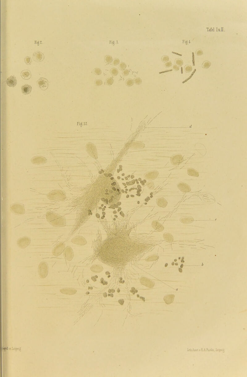 Tafel ItiI. TiiAZ. Mb