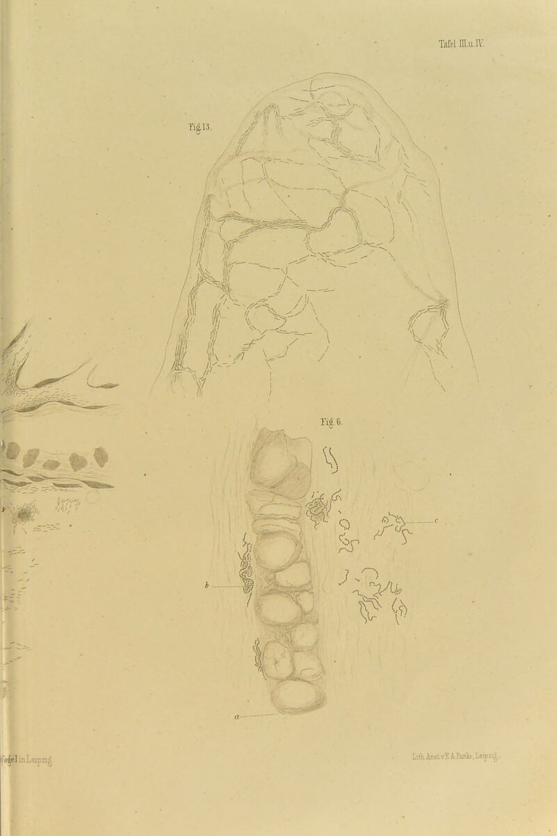 TaW in.u iv; -\l // M: , vT' * \7 / ng.6. v4 ■■■■■ i,«uAiiiitv:;A!n.-(,-.l.ci]i.-.