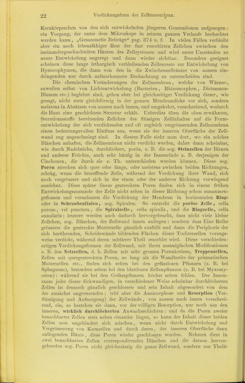 Kcrnkörpcrchcn von den sich entwickelnden jüngeren Generationen «aufgesogen ; ein Vorgang, der unter dem Mikroskope in seinem ganzen Verlaufe beobachtet werden kann, „Gesammelte Beiträge pag. 374 u. f. In vielen Fällen verbleibt aber ein noch lebensfähiger Rest der fast resorbirten Zellchen zwischen den ineinandergeschachtelten Häuten des Zellsystemes und wird unter Umständen zu neuer Entwickelung angeregt und dann wieder sichtbar. Besonders geeignet scheinen diese lange lethargisch verbleibenden Zellenreste zur Entwickelung von Hysterophymen, die dann von den in die Zwischenzellräume von aussen ein- dringenden nur durch aufmerksamste Beobachtung zxi unterscheiden sind. Die chemischen Veränderungen der Zellmembran, welche von Wärme-, zuweilen selbst von Lichtentwickelung (Bacterien, Rhizomorphen, Dictamnus- Blumen etc.) begleitet sind, gehen aber bei gleichzeitiger Verdickung dieser, wie gesagt, nicht stets gleichförmig in der ganzen Membrandicke vor sich, sondern meistens in Absätzen von aussen nach innen, und umgekehrt, vorschreitend, wodurch die Haut eine geschichtete Structur erhält. Ueberdies üben die oben erwähnten, Sccretionsstoffe bereitenden Zellchen des flüssigen Zellinhaltes auf die Form- cntwickelung der sich verdickenden und oft zugleich vergrössernden Zellmembran einen bedeutungsvollen Einfluss aus, wenn sie der inneren Oberfläche der Zell- wand eng angeschmiegt sind. In diesem Falle sieht man dort, wo ein solches Bläschen anhaftet, die Zellmembran nicht verdickt werden, daher dann scheinbar, wie durch Nadelstiche, durchlöchert, porös, z.B. die sog. Stcinzellen der Birnen und anderer Früchte, auch sehr häufig in der Innenrinde z. B. derjenigen der Cinchonen, die durch sie z. Th. unterschieden werden können. Diese sog. Poren strecken sich quer oder längs, oder meistens zwischen beiden Riehtungen, schräg, wenn die betreffende Zelle, während der Verdickung ihrer Wand, sich noch vergrössert und sich in der einen oder der anderen Richtung vorwiegend ausdehnt. Diese später linear gestreckten Poren finden sich in einem frühen Entwickelungszustande der Zelle nicht seilen in dieser Richtung schon zusammen- geflossen und veranlassen die Verdickung der Membran in horizontalen Ring:- oder in Schraubenlinien, sog. Spiralen. So entsteht die poröse Zelle, cella porosa, vel punctata, die Spiralzelle, cella spiralis, und die Rin$rzclle, cella annularis; letztere werden auch dadurch hervorgebracht, dass nicht viele kleine Zellchen, sog. Bläschen, der Zellwand innen anliegen : sondern dass Eine Reihe grösserer die gestreckte Mutterzelle gänzlich ausfüllt und dann die Periphorie der sich berührenden, Scheidewände bildenden Flächen dieser Tochterzellen vorzugs- weise verdickt, während deren mittlerer Theil resorbirf wird. Diese verschieden- artigen Verdickungsformen der Zellwand, mit ihren mannigfachen Modificationcn z. B. den Nelzzellen, d. h. Zellen mif sein- grossen Porenkreisen, Treppenzelleii, Zellen mit quergestreekten Poren, so lang als die Wandbreite der prismatischen Mutterzellen etc., finden sich selten bei den gefässlosen Pflanzen (z. B. bei Sphagnum), besonders selten bei den blattlosen Zellenpflanzen (z. B. bei Myxomy- ceten): während sie bei den GefässpManzen höchst selten fehlen. Der Innen- raum jeder dieser dickwandigen, in verschiedener Weise scheinbar durchlöcherten Zellen ist dennoch gänzlich geschlossen und sein Inhalt abgesondert von dem der zunächst angrenzenden; tritt aber die Anamorphose und Resorption (Ver- flüssigung und Aufsaugung) der Zellwände, von aussen nach innen vorsclirei- tend, ein, so bestehen sie dann, vor der völligen Resorption, nur noch aus den inneren, wirklich durchlöcherten Anwachsschichten: und da die Poren zweier benachbarter Zellen stets neben einander liegen, so kann der Inhalt dieser beiden Zellen nun ungehindert sich mischen . wenn nicht durch Entwickelung und Vergrösscrung von Kernzellen und durch deren, der inneren Oberfläche dann anliegenden Häute, diese Poren wieder geschlossen wurden. Nehmen diese in zwei benachbarten Zellen correspondirenden Bläschen und die daraus hervor- gehenden sog. Poren nicht gleichmäesig die ganze Zellwand, sondern nur Theile
