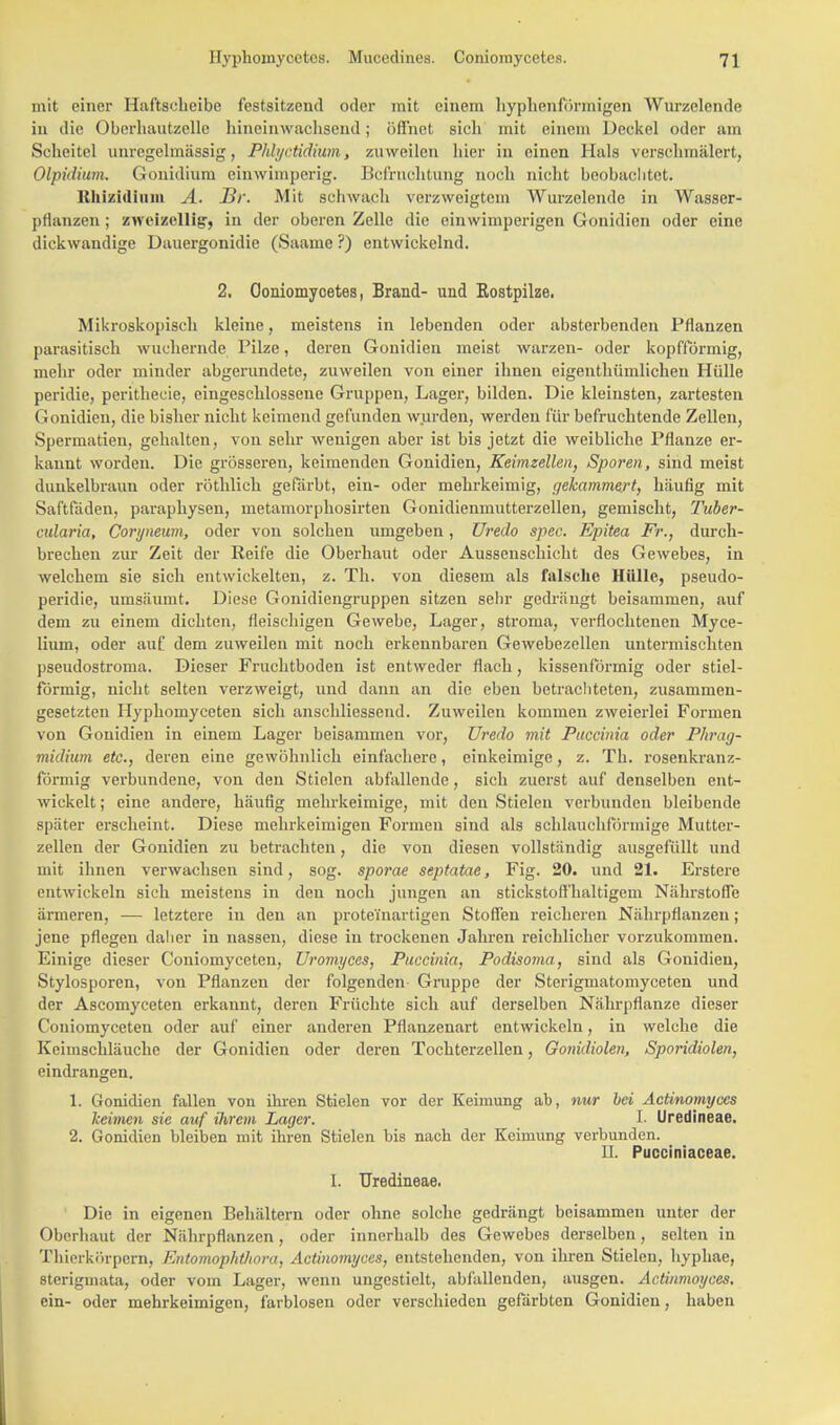 mit einer Haftscheibc festsitzend oder mit einem hyphenförmigen Wurzelende in die Oberhautzelle hineinwachsend; öffnet sieh mit einem Deckel oder am Scheitel unregelmässig, Phlyctidium, zuweilen hier in einen Hals verschmälert, Olpidium. Gonidium einwimperig. Befrachtung noch nicht beobachtet. ßhizidium A. JBr. Mit schwach verzweigtem Wurzelende in Wasser- pflanzen ; zweizeilig1, in der oberen Zelle die einwimperigen Gonidien oder eine dickwandige Dauergonidie (Saamc ?) entwickelnd. 2. Ooniomycetes, Brand- und Eostpilze. Mikroskopisch kleine, meistens in lebenden oder absterbenden Pflanzen parasitisch wuchernde Pilze, deren Gonidien meist warzen- oder kopfförmig, mehr oder minder abgerundete, zuweilen von einer ihnen eigenthümlichen Hülle peridie, perithecie, eingeschlossene Gruppen, Lager, bilden. Die kleinsten, zartesten Gonidien, die bisher nicht keimend gefunden wurden, werden für befruchtende Zellen, Spermatien, gehalten, von sehr wenigen aber ist bis jetzt die weibliche Pflanze er- kannt worden. Die grösseren, keimenden Gonidien, Keimzellen, Sporen, sind meist dunkelbraun oder röthlich gefärbt, ein- oder mehrkeimig, gehämmert, häufig mit Saftfäden, paraphysen, metamorphosirten Gonidienmutterzellen, gemischt, Tuber- cularia, Coryneum, oder von solchen umgeben, Uredo spec. Epitea Fr., durch- brechen zur Zeit der Reife die Oberhaut oder Ausseuschicht des Gewebes, in welchem sie sich entwickelten, z. Th. von diesem als falsche Hülle, pseudo- peridie, umsäumt. Diese Gonidiengruppen sitzen sehr gedrängt beisammen, auf dem zu einem dichten, fleischigen Gewebe, Lager, stronia, verflochtenen Myce- lium, oder auf dem zuweilen mit noch erkennbaren Gewebezellen untermischten pseudostroma. Dieser Fruchtboden ist entweder flach, kissenförmig oder stiel- förmig, nicht selten verzweigt, und dann an die eben betrachteten, zusammen- gesetzten Hyphomyceten sich anschliessend. Zuweilen kommen zweierlei Formen von Gonidien in einem Lager beisammen vor, Uredo mit Puccinia oder Phrag- midium etc., deren eine gewöhnlich einfachere, einkeimige, z. Th. rosenkranz- förmig verbundene, von den Stielen abfallende, sich zuerst auf denselben ent- wickelt; eine andere, häufig mehrkeimige, mit den Stielen verbunden bleibende später erscheint. Diese mehrkeimigen Formen sind als schlauchförmige Muttcr- zellen der Gonidien zu betrachten, die von diesen vollständig ausgefüllt und mit ihnen verwachsen sind, sog. sporae septatae, Fig. 20. und 21. Erstcre entwickeln sich meistens in den noch jungen an stickstoffhaltigem Nährstoffe ärmeren, — letztere in den an proteinartigen Stoffen reicheren Nährpflanzen; jene pflegen dalier in nassen, diese in trockenen Jahren reichlicher vorzukommen. Einige dieser Coniomyceten, Uromyces, Puccinia, Podisoma, sind als Gonidien, Stylosporen, von Pflanzen der folgenden Gruppe der Sterigmatomyceten und der Ascomyceten erkannt, deren Früchte sich auf derselben Nährpflanze dieser Coniomyceten oder auf einer anderen Pflanzenart entwickeln, in welche die Keimschläuche der Gonidien oder deren Tochterzellen, Gonidiolen, Sporidiolen, eindrangen. 1. Gonidien fallen von ihren Stielen vor der Keimung ab, nur bei Actinomyccs keimen sie auf ihrem Lager. 1- Uredineae. 2. Gonidien bleiben mit ihren Stielen bis nach der Keimung verbunden. II. Pucciniaceae. I. Uredineae. Die in eigenen Behältern oder ohne solche gedrängt beisammen unter der Oberhaut der Nährpflanzen, oder innerhalb des Gewebes derselben, selten in Thiorkörpcrn, Entomophthora, Actinomyces, entstehenden, von ihren Stielen, hyphae, sterigmata, oder vom Lager, wenn ungestielt, abfallenden, ausgen. Actinmoyces. ein- oder mehrkeimigen, farblosen oder verschieden gefärbten Gonidien, haben