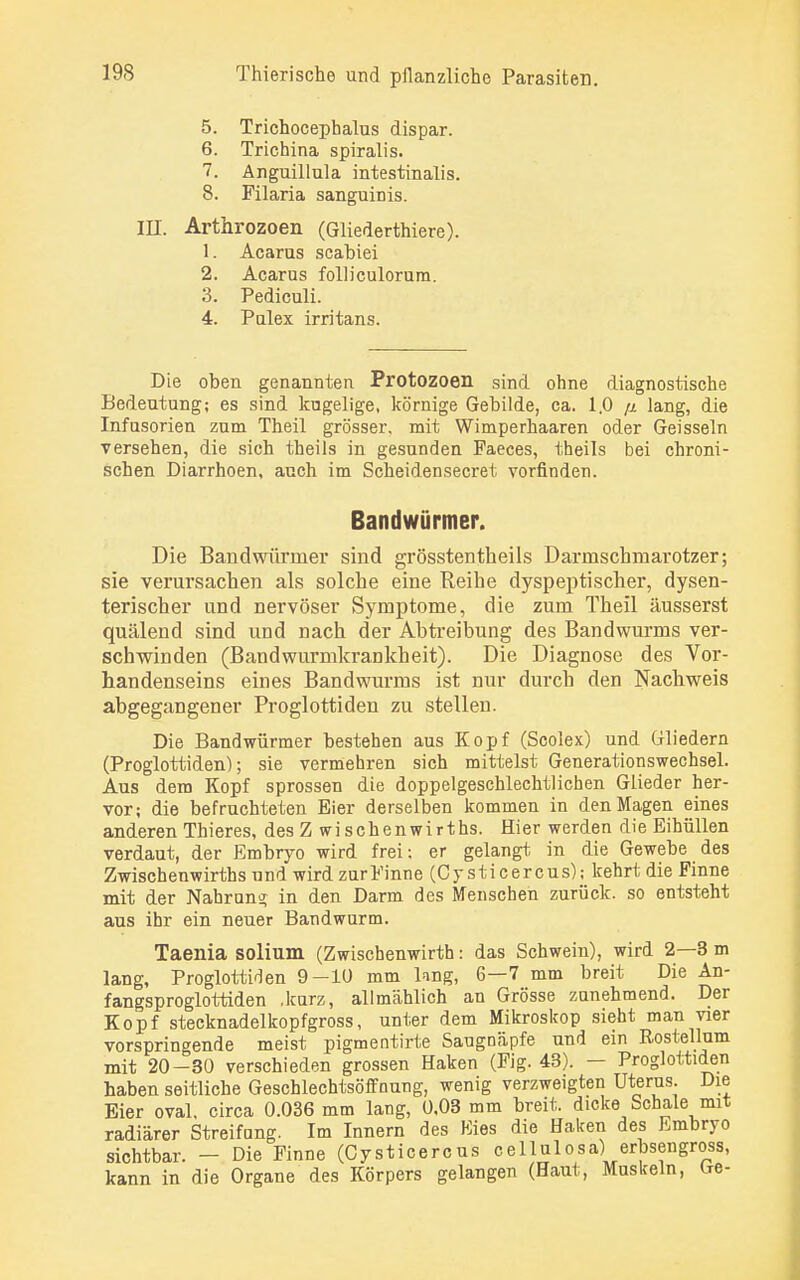 5. Trichocephalus dispar. 6. Trichina spiralis. 7. Anguillula intestinalis. 8. Filaria sanguinis. III. Arthrozoen (Gliederthiere). 1. Acarus scabiei 2. Acarus folliculorum. 3. Pediculi. 4. Pulex irritans. Die oben genannten Protozoen sind ohne diagnostische Bedeutung; es sind kugelige, körnige Gebilde, ca. 1.0 ß lang, die Infusorien zum Theil grösser, mit Wimperhaaren oder Geissein versehen, die sich theils in gesunden Faeces, theils bei chroni- schen Diarrhoen, auch im Scheidensecret vorfinden. Bandwürmer. Die Bandwürmer sind grösstentheils Darmschmarotzer; sie verursachen als solche eine Reihe dyspeptischer, dysen- terischer und nervöser Symptome, die zum Theil äusserst quälend sind und nach der Abtreibung des Bandwurms ver- schwinden (Bandwurmkrankheit). Die Diagnose des Vor- handenseins eines Bandwurms ist nur durch den Nachweis abgegangener Proglottiden zu stellen. Die Bandwürmer bestehen aus Kopf (Scolex) und Gliedern (Proglottiden); sie vermehren sich mittelst Generationswechsel. Aus dem Kopf sprossen die doppelgeschlechtlichen Glieder her- vor; die befruchteten Eier derselben kommen in den Magen eines anderen Thieres, des Z wischenwirths. Hier werden die Eihüllen verdaut, der Embryo wird frei; er gelangt in die Gewebe des Zwischenwirths und wird zurFinne (Cysticercus); kehrt die Finne mit der Nahrung; in den Darm des Menschen zurück, so entsteht aus ihr ein neuer Bandwurm. Taenia solium (Zwischenwirth: das Schwein), wird 2—3 m lang, Proglottiden 9-10 mm lang, 6—7 mm breit Die An- fangsproglottiden .kurz, allmählich an Grösse zunehmend. Der Kopf stecknadelkopfgross, unter dem Mikroskop sieht man vier vorspringende meist pigmentirte Saugnäpfe und ein Rostellum mit 20-30 verschieden grossen Haken (Fig. 43). — Proglottiden haben seitliche Geschlechtsöffnung, wenig verzweigten Uterus. Die Eier oval, circa 0.036 mm lang, 0,03 mm breit, dicke Schale mit radiärer Streifang. Im Innern des Kies die Haken des Embryo sichtbar. - Die Finne (Cysticercus cellulosa) erbsengross, kann in die Organe des Körpers gelangen (Haut, Muskeln, Ire-