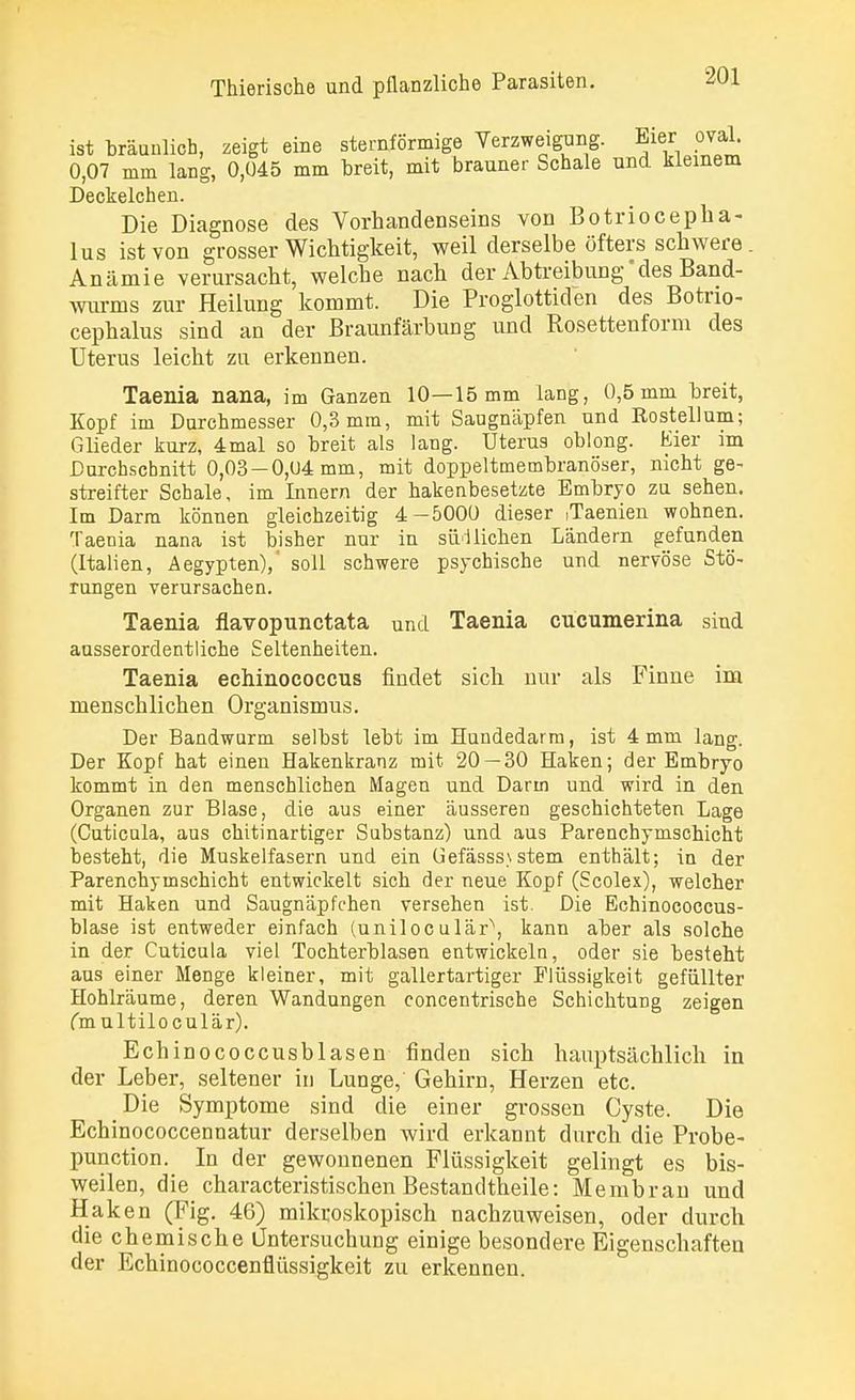 ist bräunlich, zeigt eine sternförmige Verzweigung. Eier oval. 0,07 min lang, 0,045 mm breit, mit brauner Schale und kleinem Deckelchen. Die Diagnose des Vorhandenseins von Botriocepha- lus ist von grosser Wichtigkeit, weil derselbe öfters schwere. Anämie verursacht, welche nach der Abtreibung'des Band- wurms zur Heilung kommt. Die Proglottiden des Botno- cephalus sind an der Braunfärbung und Rosettenform des Uterus leicht zu erkennen. Taenia nana, im Ganzen 10—15 mm lang, 0,5 mm breit, Kopf im Durehmesser 0,3 mm, mit Saugnäpfen und Rosteilum; Glieder kurz, 4mal so breit als lang. Uterus oblong. Eier im Durchschnitt 0,03-0,04 mm, mit doppeltmembranöser, nicht ge- streifter Schale, im Innern der hakenbesetzte Embryo zu sehen. Im Darm können gleichzeitig 4-5000 dieser ,Taenien wohnen. Taenia nana ist bisher nur in südlichen Ländern gefunden (Italien, Aegypten),' soll schwere psychische und nervöse Stö- rungen verursachen. Taenia flavopunctata und Taenia cucumerina sind ausserordentliche Seltenheiten. Taenia echinococcus findet sich nur als Finne im menschlichen Organismus. Der Bandwarm selbst lebt im Hundedarm, ist 4 mm lang. Der Kopf hat einen Hakenkranz mit 20 — 30 Haken; der Embryo kommt in den menschlichen Magen und Darm und wird in den Organen zur Blase, die aus einer äusseren geschichteten Lage (Cuticula, aus chitinartiger Substanz) und aus Parenchymschicht besteht, die Muskelfasern und ein üefässs>stem enthält; in der Parenchymschicht entwickelt sich der neue Kopf (Scolex), welcher mit Haken und Saugnäpfchen versehen ist. Die Echinococcus- blase ist entweder einfach (uniloculär\ kann aber als solche in der Cuticula viel Tochterblasen entwickeln, oder sie besteht aus einer Menge kleiner, mit gallertartiger Flüssigkeit gefüllter Hohlräume, deren Wandungen concentrische Schichtung zeigen (multiloculär). Echinococcusblasen finden sich hauptsächlich in der Leber, seltener in Lunge, Gehirn, Herzen etc. Die Symptome sind die einer grossen Cyste. Die Echinococcennatur derselben wird erkannt durch die Probe- punction. In der gewonnenen Flüssigkeit gelingt es bis- weilen, die characteristischen Bestandtheile: Membran und Haken (Fig. 46) mikroskopisch nachzuweisen, oder durch die chemische Untersuchung einige besondere Eigenschaften der Echinococcenflüssigkeit zu erkennen.
