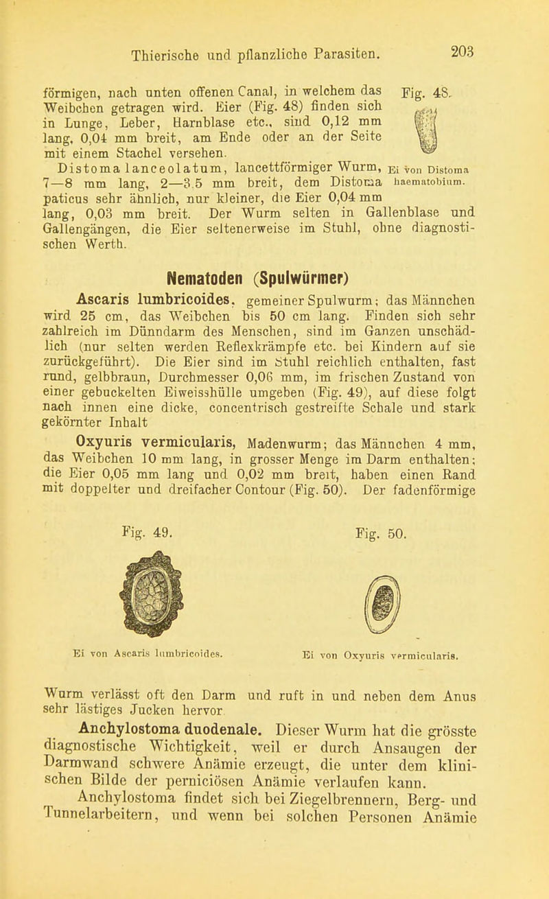 förmigen, nach nnten offenen Canal, in welchem das Yig. 48. Weibchen getragen wird. Eier (Fig. 48) finden sich in Lunge, Leber, Harnblase etc., sind 0,12 mm lang, 0,04 mm breit, am Ende oder an der Seite mit einem Stachel versehen. Distomalanceolatum, lancettförmiger Wurm, Ei von Distoma 7—8 mm lang, 2—3.5 mm breit, dem Distoma haematobium. paticus sehr ähnlich, nur kleiner, die Eier 0,04 mm lang, 0,03 mm breit. Der Wurm selten in Gallenblase und Gallengängen, die Eier seltenerweise im Stuhl, ohne diagnosti- schen Werth. Nematoden (Spulwürmer) Ascaris lumbricoides, gemeiner Spulwurm; das Männchen wird 25 cm, das Weibchen bis 50 cm lang. Finden sich sehr zahlreich im Dünndarm des Menschen, sind im Ganzen unschäd- lich (nur selten werden Reflexkrämpfe etc. bei Kindern auf sie zurückgeführt). Die Eier sind im Stuhl reichlich enthalten, fast rund, gelbbraun, Durchmesser 0,06 mm, im frischen Zustand von einer gebuckelten Eiweisshülle umgeben (Fig. 49), auf diese folgt nach innen eine dicke, concentrisch gestreifte Schale und stark gekörnter Inhalt Oxyuris vermicularis, Maden wurm; das Männchen 4 mm, das Weibchen 10 mm lang, in grosser Menge im Darm enthalten; die Eier 0,05 mm lang und 0,02 mm breit, haben einen Rand mit doppelter und dreifacher Contour (Fig. 50). Der fadenförmige Fig. 49. Fig. 50. Ei von Ascaris lumbricoides. Ei von Oxyuris vermicularis. Wurm verlässt oft den Darm und ruft in und neben dem Anus sehr lästiges Jucken hervor Anchylostoma duodenale. Dieser Wurm hat die grösste diagnostische Wichtigkeit, weil er durch Ansaugen der Darmwand schwere Anämie erzeugt, die unter dem klini- schen Bilde der perniciösen Anämie verlaufen kann. Anchylostoma findet sich bei Ziegelbrennern, Berg- und Tunnelarbeitern, und wenn bei solchen Personen Anämie