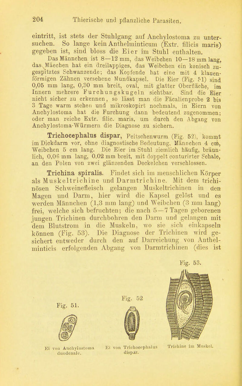eintritt, ist stets der Stuhlgang auf Anchylostoma zu unter- suchen. So lange kein Anthelininticuni (Extr. filicis maris) gegeben ist, sind bloss die Eier im Stuhl enthalten. Das Männchen ist 8—12 mm, das Weibchen 10—18 mm lang, das Mäecben hat ein dreilappiges, das Weibchen ein konisch zu- gespitztes Schwanzende; das Kopfende hat eine mit 4 klauen- förraigen Zähnen versehene Mundkapsel. Die Eier (Fig. 51) sind 0,05 mm lang, 0,30 mm hreit, oval, mit glatter Oberfläche, im Innern mehrere Furchungskugeln sichtbar. Sind die Eier nicht sicher zu erkennen, so lässt man die Fäcalienprobe 2 bis 3 Tage warm stehen und mikroskopirt nochmals, in Eiern von Anchylostoma hat die Furchung dann bedeutend zugenommen; oder man reiche Extr. filic. maris, um durch den Abgang von Anchylostoma-Würmern die Diagnose zu sichern. Trichocephalus dispar, Peitschenwurm (Pig. 52), kommt im Dickdarm vor, ohne diagnostische Bedeutung, Männchen 4 crü, Weibchen 5 cm lang. Die Eier im Stuhl ziemlich häufig, bräun- lich, 0,06 mm lang, 0,02 mm breit, mit doppelt conturirter Schale, an den Polen von zwei glänzenden Deckelchen verschlossen. Trichina spiralis. Findet sich im menschlichen Körper als Muskeltrichine und Darmtrichine. Mit dem trichi- nösen Schweinefleisch gelangen Muskeltrichinen in den Magen und Darm, hier wird die Kapsel gelöst und es werden Männchen (1,3 mm lang) und Weibchen (3 mm lang) frei, welche sich befruchten; die nach 5 —7 Tagen geborenen jungen Trichinen durchbohren den Darm und gelangen mit dem Blutstrom in die Muskeln, wo sie sich einkapseln können (Fig. 53). Die Diagnose der Trichinen wird ge- sichert entweder durch deu auf Darreichung von Anthel- minticis erfolgenden Abgang von Darmtrichinen (dies ist Fig. 53. Fig. 51. Iii von Ancliylostoniii duodenale. Ei von Trichocephalus dispar. Trichine im Mnskel.