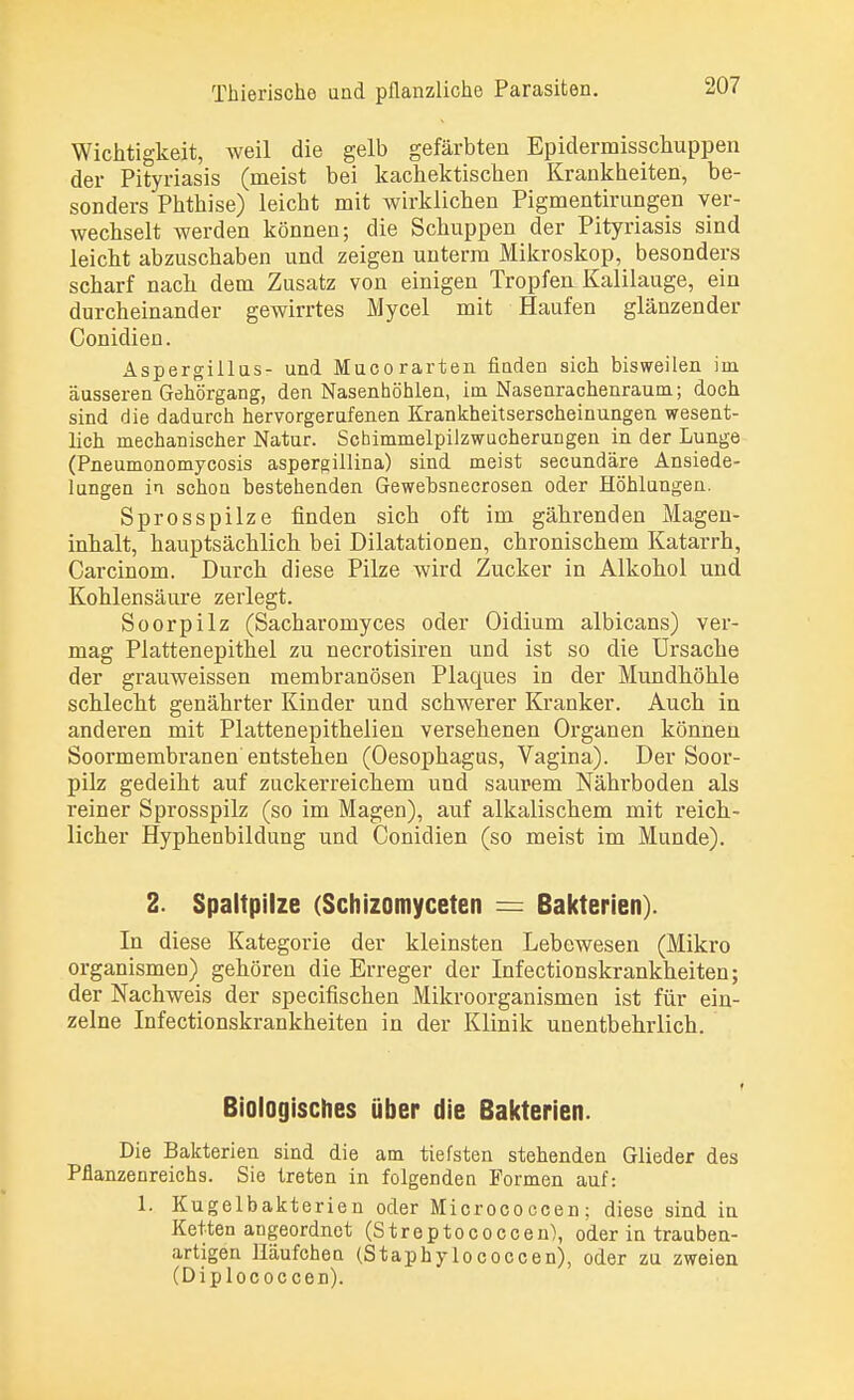 Wichtigkeit, weil die gelb gefärbten Epidermisschuppen der Pityriasis (meist bei kachektischen Krankheiten, be- sonders Phthise) leicht mit wirklichen Pigmentiriingen ver- wechselt werden können; die Schuppen der Pityriasis sind leicht abzuschaben und zeigen unterm Mikroskop, besonders scharf nach dem Zusatz von einigen Tropfeu Kalilauge, ein durcheinander gewirrtes Mycel mit Haufen glänzender Conidien. Aspergillus- und Mucorarten finden sich bisweilen im äusseren Gehörgang, den Nasenhöhlen, im Nasenrachenraum; doch sind die dadurch hervorgerufenen Krankheitserscheinungen wesent- lich mechanischer Natur. Schimmelpilzwucherungen in der Lunge (Pneumonomycosis aspergillina) sind meist secundäre Ansiede- lungen in schon bestehenden Gewebsnecrosen oder Höhlungen. Sprosspilze finden sich oft im gährenden Magen- inhalt, hauptsächlich bei Dilatationen, chronischem Katarrh, Carcinom. Durch diese Pilze wird Zucker in Alkohol und Kohlensäure zerlegt. Soorpilz (Sacharomyces oder Oidium albicans) ver- mag Plattenepithel zu necrotisiren und ist so die Ursache der grauweissen membranösen Plaques in der Mundhöhle schlecht genährter Kinder und schwerer Kranker. Auch in anderen mit Plattenepithelien versehenen Organen können Soormembranen entstehen (Oesophagus, Vagina). Der Soor- pilz gedeiht auf zuckerreichem und saur-em Nährboden als reiner Sprosspilz (so im Magen), auf alkalischem mit reich- licher Hyphenbildung und Conidien (so meist im Munde). 2. Spaltpilze (Schizomyceten = Bakterien). In diese Kategorie der kleinsten Lebewesen (Mikro Organismen) gehören die Erreger der Infectionskrankheiten; der Nachweis der specifischen Mikroorganismen ist für ein- zelne Infectionskrankheiten in der Klinik unentbehrlich. Biologisches über die Bakterien. Die Bakterien sind die am tiefsten stehenden Glieder des Pflanzenreichs. Sie treten in folgenden Formen auf: 1. Kugelbakterien oder Micrococcen; diese sind in Ketten angeordnet (Streptococcen), oder in trauben- artigen Häufchen (Staphylococcen), oder zu zweien (Diplococcen).