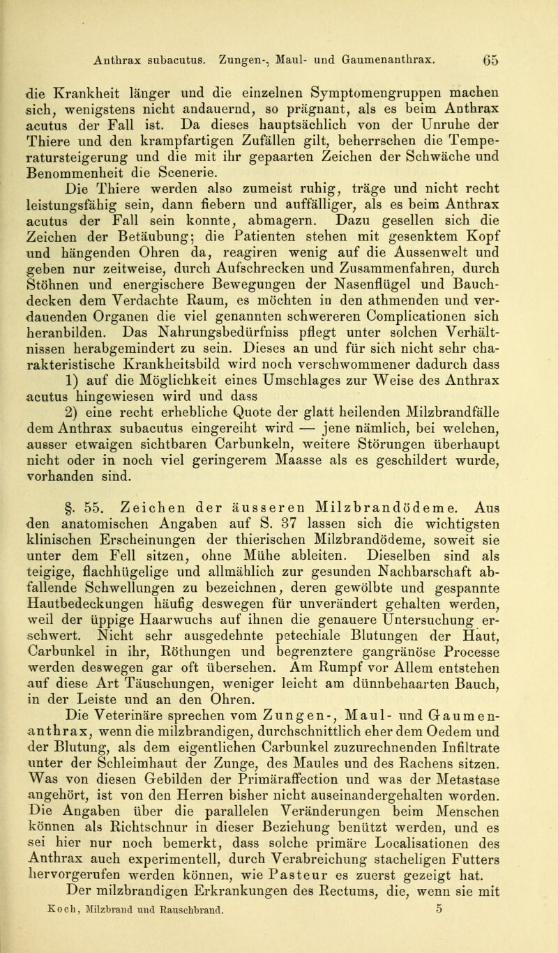 die Krankheit länger und die einzelnen Symptomengruppen maclien sich^ wenigstens nicht andauernd, so prägnant, als es beim Anthrax acutus der Fall ist. Da dieses hauptsächlich von der Unruhe der Thiere und den krampfartigen Zufällen gilt, beherrschen die Tempe- ratursteigerung und die mit ihr gepaarten Zeichen der Schwäche und Benommenheit die Scenerie. Die Thiere werden also zumeist ruhig, träge und nicht recht leistungsfähig sein, dann fiebern und auffälliger, als es beim Anthrax acutus der Fall sein konnte, abmagern. Dazu gesellen sich die Zeichen der Betäubung; die Patienten stehen mit gesenktem Kopf und hängenden Ohren da, reagiren wenig auf die Aussenwelt und geben nur zeitweise, durch Aufschrecken und Zusammenfahren, durch Stöhnen und energischere Bewegungen der Nasenflügel und Bauch- decken dem Verdachte Raum, es möchten in den athmenden und ver- dauenden Organen die viel genannten schwereren Complicationen sich heranbilden. Das Nahrungsbediirfniss pflegt unter solchen Verhält- nissen herabgemindert zu sein. Dieses an und für sich nicht sehr cha- rakteristische Krankheitsbild wird noch verschwommener dadurch dass 1) auf die Möglichkeit eines Umschlages zur Weise des Anthrax acutus hingewiesen wird und dass 2) eine recht erhebliche Quote der glatt heilenden Milzbrandfälle dem Anthrax subacutus eingereiht wird — jene nämlich, bei welchen, ausser etwaigen sichtbaren Carbunkeln, weitere Störungen überhaupt nicht oder in noch viel geringerem Maasse als es geschildert wurde, vorhanden sind. §. 55. Zeichen der äusseren Milzbrandödeme. Aus den anatomischen Angaben auf S. 37 lassen sich die wichtigsten klinischen Erscheinungen der thierischen Milzbrandödeme, soweit sie unter dem Fell sitzen, ohne Mühe ableiten. Dieselben sind als teigige, flachhügelige und allmählich zur gesunden Nachbarschaft ab- fallende Schwellungen zu bezeichnen, deren gewölbte und gespannte Hautbedeckungen häufig deswegen für unverändert gehalten werden, weil der üppige Haarwuchs auf ihnen die genauere Untersuchung er- schwert. Nicht sehr ausgedehnte petechiale Blutungen der Haut, Carbunkel in ihr, Röthungen und begrenztere gangränöse Processe werden deswegen gar oft übersehen. Am Rumpf vor Allem entstehen auf diese Art Täuschungen, weniger leicht am dünnbehaarten Bauch, in der Leiste und an den Ohren. Die Veterinäre sprechen vom Zungen-, Maul- und Gaumen- anthrax, wenn die milzbrandigen, durchschnittlich eher dem Oedem und der Blutung, als dem eigentlichen Carbunkel zuzurechnenden Infiltrate unter der Schleimhaut der Zunge, des Maules und des Rachens sitzen. Was von diesen Gebilden der Primäraff'ection und was der Metastase angehört, ist von den Herren bisher nicht auseinandergehalten worden. Die Angaben über die parallelen Veränderungen beim Menschen können als Richtschnur in dieser Beziehung benützt werden, und es sei hier nur noch bemerkt, dass solche primäre Localisationen des Anthrax auch experimentell, durch Verabreichung stacheligen Futters hervorgerufen werden können, wie Pasteur es zuerst gezeigt hat. Der milzbrandigen Erkrankungen des Rectums, die, wenn sie mit Koch, Milzbi-aud und Raiisclibraucl. 5