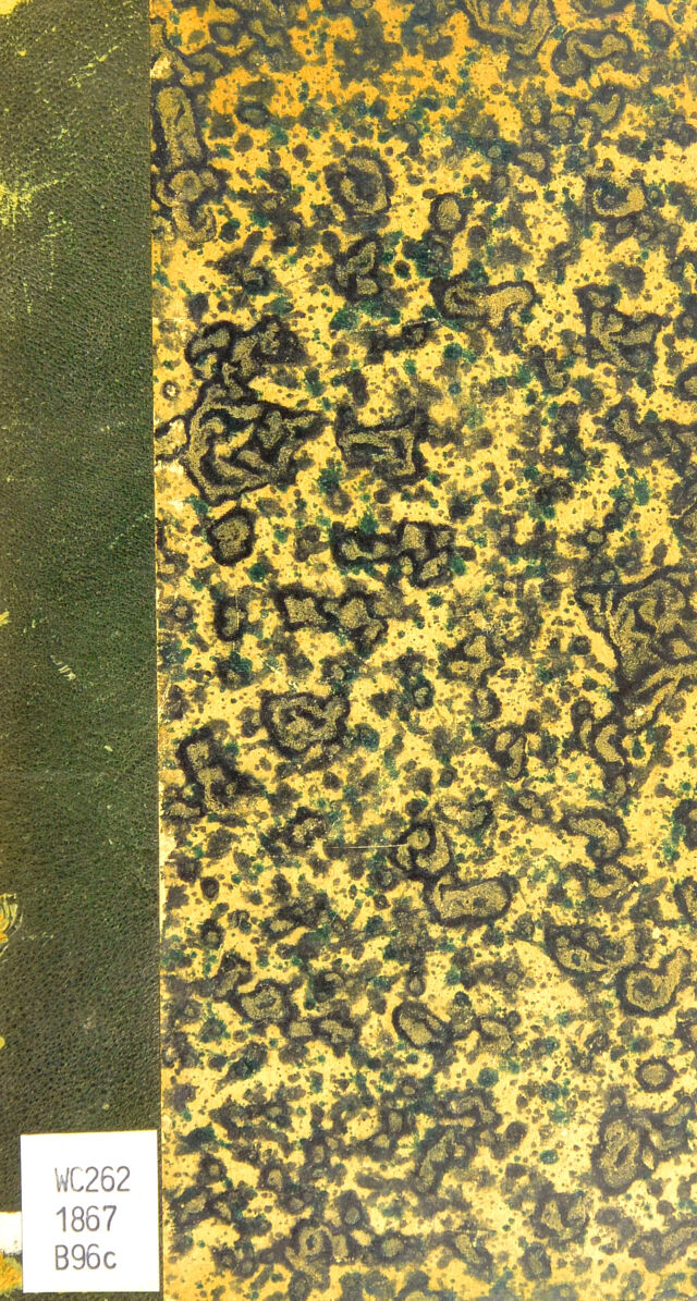 digitised image 1