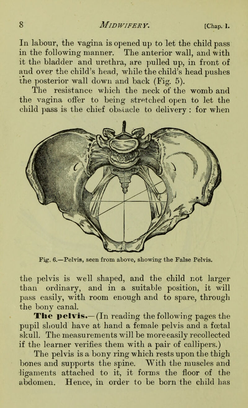 In labour, the vagina is opened up to let the child pass in the following manner. The anterior wall, and with it the bladder and urethra, are pulled up, in front of and over the child's head, while the child's head pushes the posterior wall down and back (Fig. 5). The resistance winch the neck of the womb and the vagina offer to being stretched open to let the child pass is the chief obstacle to delivery : for when Fig. 6.—Pelvis, seen from above, showing the False Pelvis. the pelvis is well shaped, and the child not larger than ordinary, and in a suitable position, it will pass easily, with room enough and to spare, through the bony canal. The pelvis.— (In reading the following pages the pupil should have at hand a female pelvis and a foetal skull. The measurements will be moreeasily recollected if the learner verifies them with a pair of callipers.) The pelvis is a bony ring which rests upon the thigh bones and supports the spine. With the muscles and ligaments attached to it, it forms the floor of the abdomen. Hence, in order to be born the child has