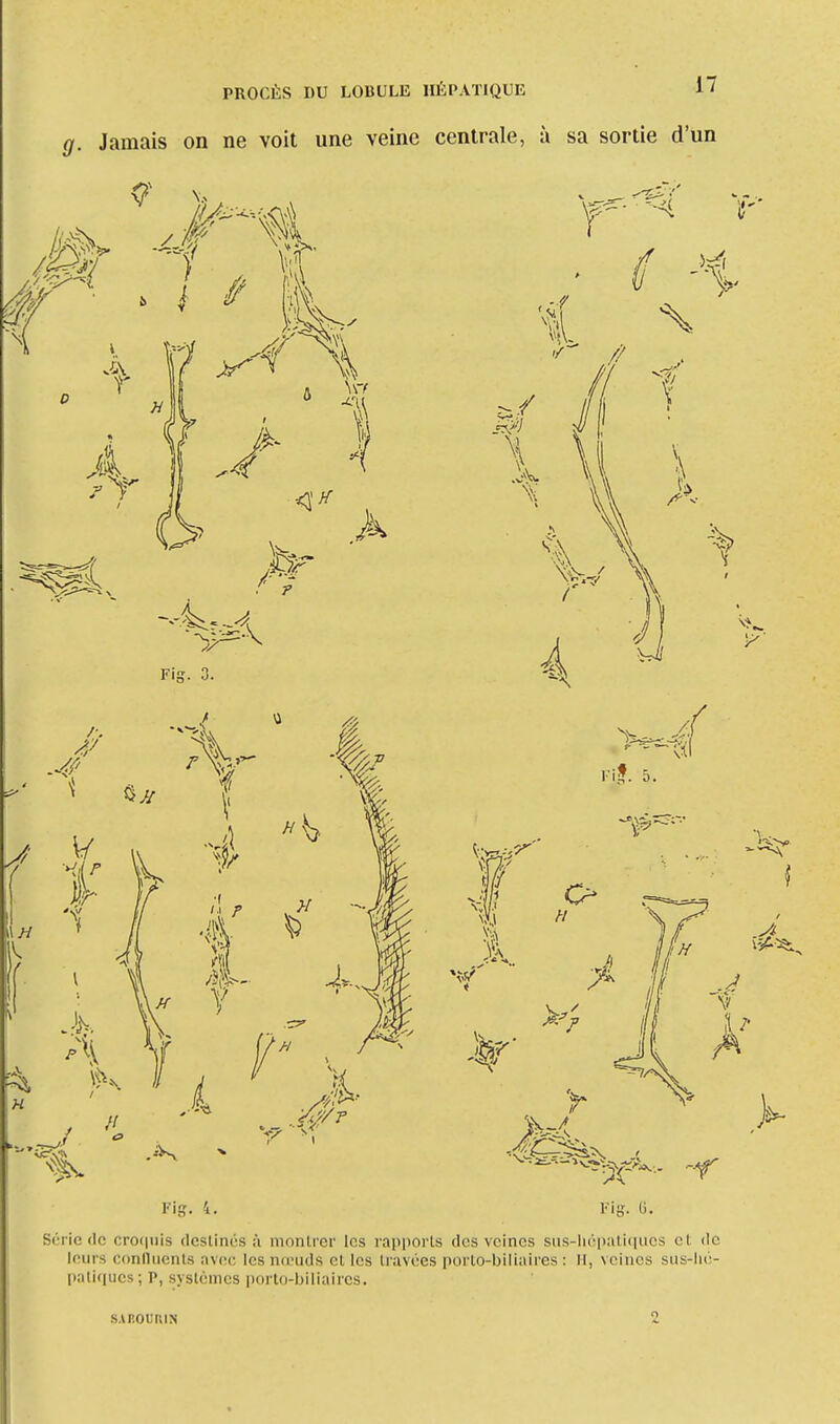 g. Jamais on ne voit une veine centrale, à sa sortie d'un Fig. 4. Fi'g. 6. Série de croquis dcslini'-s ;'i montrer les rapports des veines sus-hépatiques el (le leurs confluents avec les nœuds et les travées porto-biliaires : H, veines sus-lic- patlques; p, systèmes porto-biliaires. SABOUMN 2
