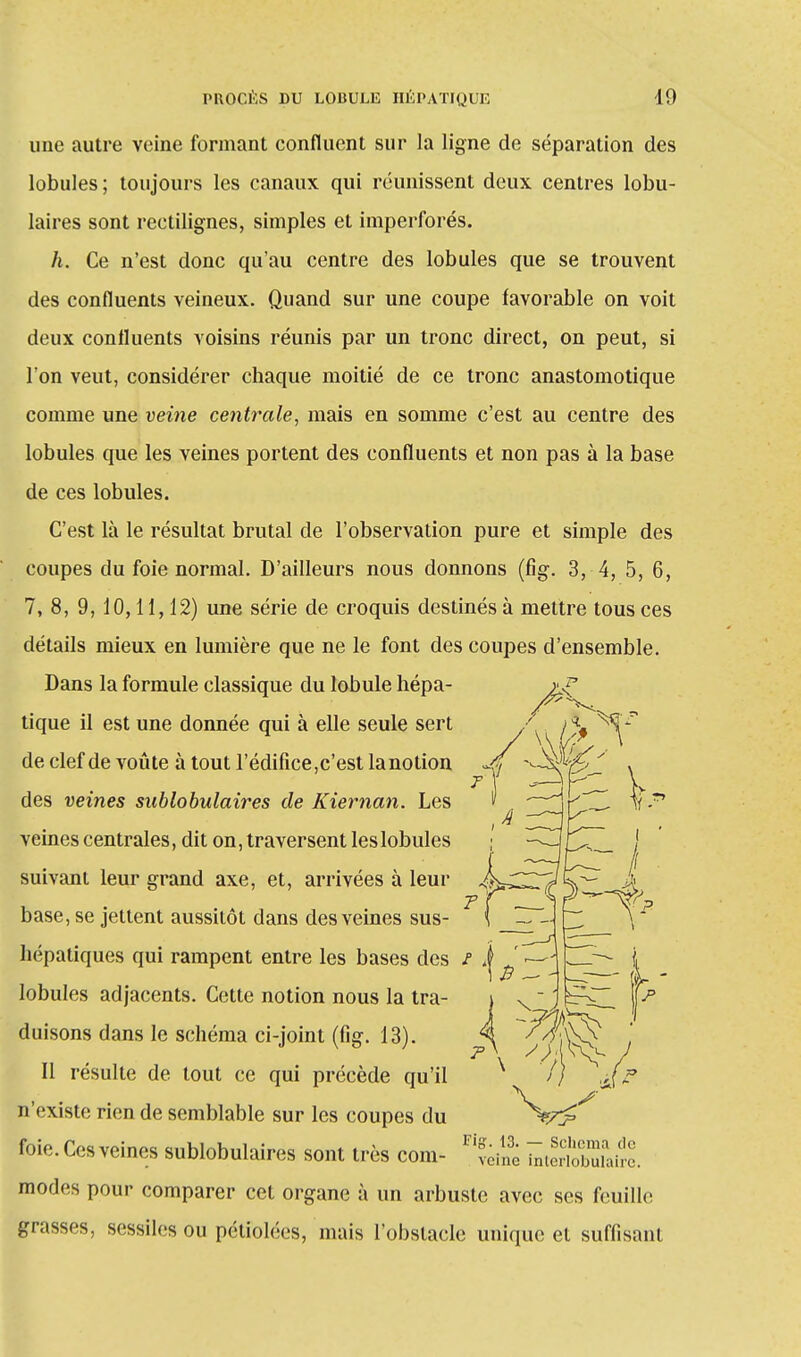 une autre veine formant confluent sur la ligne de séparation des lobules ; toujours les canaux qui réunissent deux centres tabu- laires sont rectilignes, simples et imperforés. h. Ce n'est donc qu'au centre des lobules que se trouvent des confluents veineux. Quand sur une coupe favorable on voit deux confluents voisins réunis par un tronc direct, on peut, si l'on veut, considérer chaque moitié de ce tronc anastomotique comme une veine centrale, mais en somme c'est au centre des lobules que les veines portent des confluents et non pas à la base de ces lobules. C'est là le résultat brutal de l'observation pure et simple des coupes du foie normal. D'ailleurs nous donnons (fig. 3, 4, 5, 6, 7, 8, 9, 10,11,12) une série de croquis destinés à mettre tous ces détails mieux en lumière que ne le font des coupes d'ensemble. Dans la formule classique du lobule liépa- tique il est une donnée qui à elle seule sert & de clef de voûte à tout l'édifice,c'est lanotion jf-Jxl^f y des veines sublobulaires de Kiernan. Les » veines centrales, dit on, traversent les lobules ; suivant leur grand axe, et, arrivées à leui base, se jettent aussitôt dans des veines sus- hépatiques qui rampent entre les bases des / \ lobules adjacents. Cette notion nous la tra- i x  J duisons dans le schéma ci-joint (fig. 13). 4^ îy\\. Il résulte de tout ce qui précède qu'il X // n'existe rien de semblable sur les coupes du ^V^^ foi-. Ces veines sublobulaires sont très corn- tiîfê ïtSSStta. modes pour comparer cet organe à un arbuste avec ses feuille grasses, sessiles ou pétîolées, mais l'obstacle unique et suffisant
