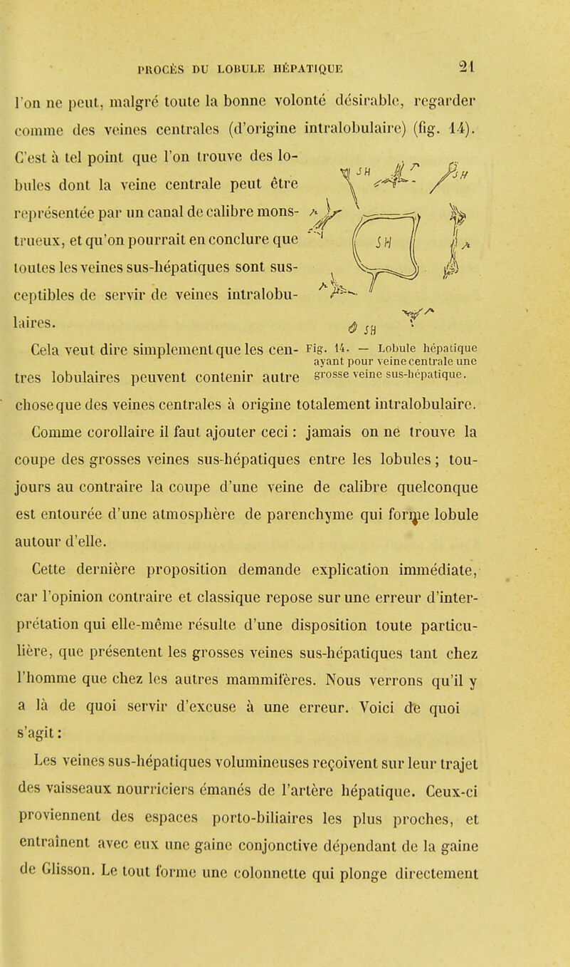 Ton ne peut, malgré toute la bonne volonté désirable, regarder comme des veines centrales (d'origine intralobulaire) (fig. 1-4). C'est à tel point que l'on trouve des lo- bules dont la veine centrale peut être représentée par un canal de calibre nions- A^r trueux, et qu'on pourrait en conclure que * N m toutes les veines sus-bépatiques sont sus- ceptibles de servir de veines intralobu- hures, â sh K Cela veut dire simplement que les cen- Fig. 14. - Lobule hépatique ayant pour veine centrale une très lobulaires peuvent contenir autre grosse veine sus-hépatique, cboseque des veines centrales à origine totalement intralobulaire. Comme corollaire il faut ajouter ceci : jamais on ne trouve la coupe des grosses veines sus-hépatiques entre les lobules ; tou- jours au contraire la coupe d'une veine de calibre quelconque est entourée d'une atmosphère de parenchyme qui forme lobule autour d'elle. Cette dernière proposition demande explication immédiate, car l'opinion contraire et classique repose sur une erreur d'inter- prétation qui elle-même résulte d'une disposition toute particu- lière, que présentent les grosses veines sus-hépatiques tant chez l'homme que chez les autres mammifères. Nous verrons qu'il y a là de quoi servir d'excuse à une erreur. Voici de quoi s'agit : Les veines sus-hépatiques volumineuses reçoivent sur leur trajet des vaisseaux nourriciers émanés de l'artère hépatique. Ceux-ci proviennent des espaces porto-biliaires les plus proches, et entraînent avec eux une gaine conjonctive dépendant de la gaine de Glisson. Le tout forme une colonnelle qui plonge directement