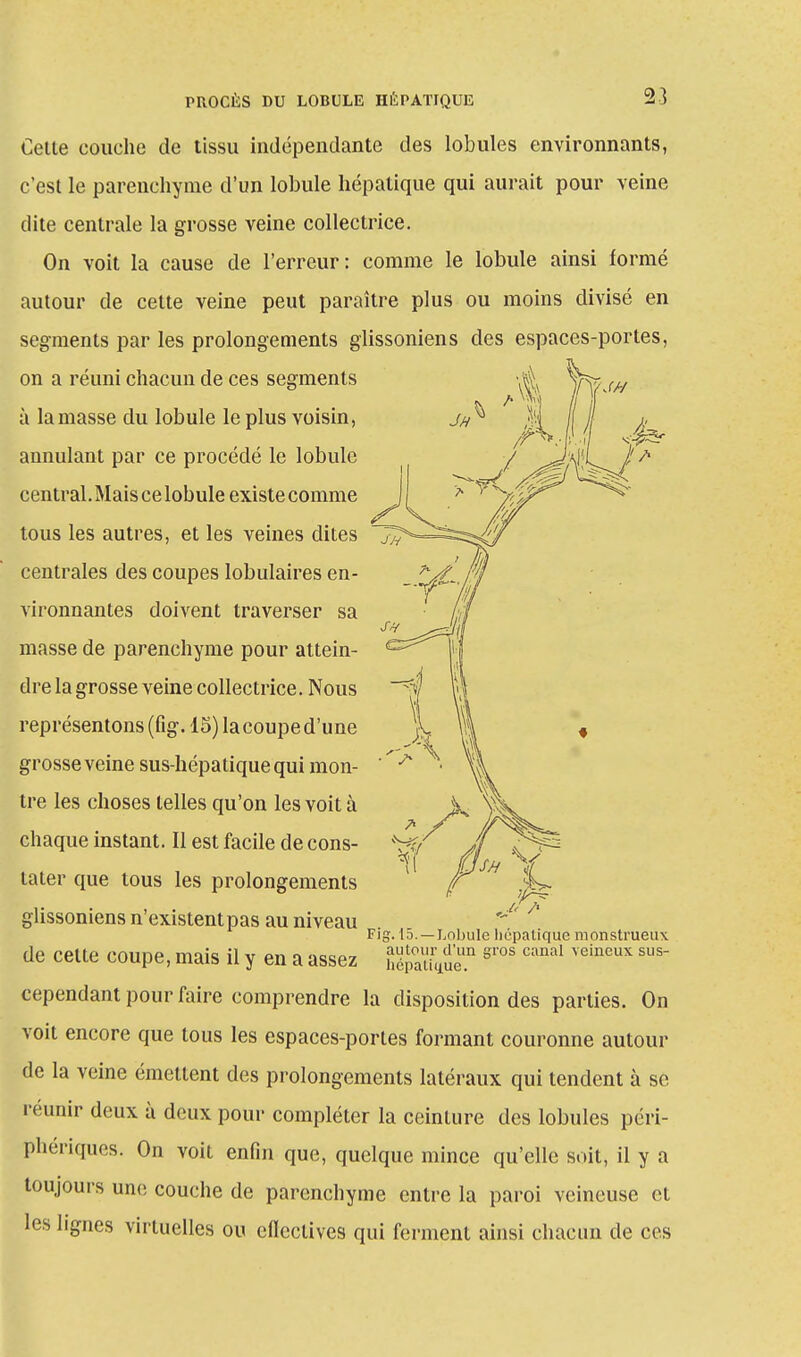Cette couche de tissu indépendante des lobules environnants, c'est le parenchyme d'un lobule hépatique qui aurait pour veine dite centrale la grosse veine collectrice. On voit la cause de l'erreur: comme le lobule ainsi formé autour de cette veine peut paraître plus ou moins divisé en segments par les prolongements glissoniens des espaces-portes, on a réuni chacun de ces segments à la masse du lobule le plus voisin, annulant par ce procédé le lobule central. Mais celobule existe comme tous les autres, et les veines dites centrales des coupes lobulaires en- vironnantes doivent traverser sa masse de parenchyme pour attein- dre la grosse veine collectrice. Nous représentons (fig. 15) la coupe d'une grosse veine sus-hépatique qui mon- ' tre les choses telles qu'on les voit à chaque instant. Il est facile de cons- tater que tous les prolongements glissoniens n'existent pas au niveau Fig. 15. —Lobule hépatique monstrueux de cette coupe, mais il y en a assez héSue™ S1'°S Canal veineux SUS cependant pour faire comprendre la disposition des parties. On voit encore que tous les espaces-portes formant couronne autour de la veine émettent des prolongements latéraux qui tendent à se réunir deux à deux pour compléter la ceinture des lobules péri- phériques. On voit enfin que, quelque mince qu'elle soit, il y a toujours une couche de parenchyme entre la paroi veineuse et les lignes virtuelles ou cflectives qui ferment ainsi chacun de ces