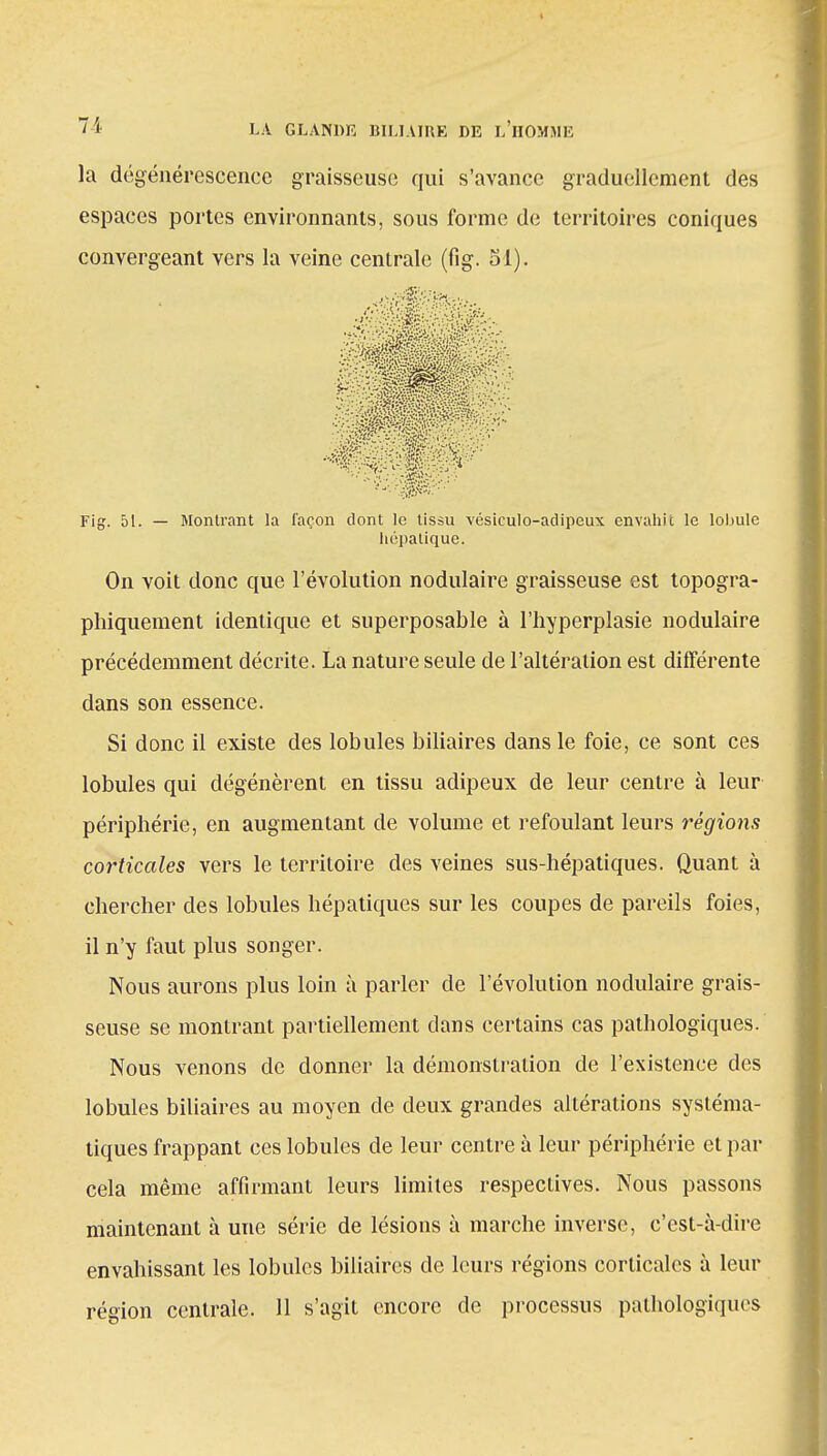 la dégénérescence graisseuse qui s'avance graduellement des espaces portes environnants, sous forme de territoires coniques convergeant vers la veine centrale (fig. 81). Fig. 51. — Montrant la façon dont le tissu vésiculo-adipeux envahit le lobule On voit donc que l'évolution nodulaire graisseuse est topogra- phiquement identique et superposable à l'hyperplasie nodulaire précédemment décrite. La nature seule de l'altération est différente dans son essence. Si donc il existe des lobules biliaires dans le foie, ce sont ces lobules qui dégénèrent en tissu adipeux de leur centre à leur périphérie, en augmentant de volume et refoulant leurs régions corticales vers le territoire des veines sus-hépatiques. Quant à chercher des lobules hépatiques sur les coupes de pareils foies, il n'y faut plus songer. Nous aurons plus loin à parler de l'évolution nodulaire grais- seuse se montrant partiellement clans certains cas pathologiques. Nous venons de donner la démonstration de l'existence des lobules biliaires au moyen de deux grandes altérations systéma- tiques frappant ces lobules de leur centre à leur périphérie et par cela même affirmant leurs limites respectives. Nous passons maintenant à une série de lésions à marche inverse, c'est-à-dire envahissant les lobules biliaires de leurs régions corticales à leur région centrale. 11 s'agit encore de processus pathologiques hépatique.