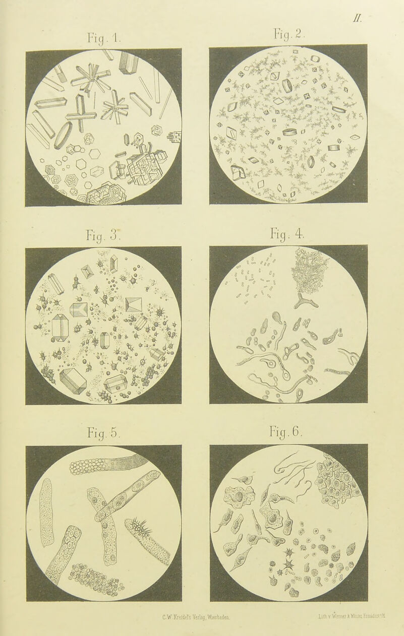 CVf Kreidel's Vertag, Wiesladea, Liili V Wniier kWiiitiFi,ii»Ii';i'll