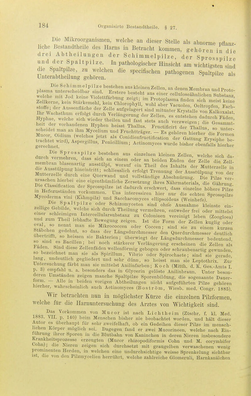 Die Mikroorganismen, welche an dieser Stelle als abnorme pflanz liehe Bestandtheile des Harns in Betracht kommen, gehören in die drei Abtheilungen der Schimmelpilze, der Sprosspilze u n d d c r S p a 11 p i 1 z e. In pathologischer Hinsicht am .vichtigsten sind die Spaltpi ze, zu welchen die specifischen pathogenen Spaltpilze 'als Unterabtheilung gehören. Die Schimmelpilze bestehen aus kleinen Zellen, an denen Membran midProtn plasma unterscheidbar s nd. Erstere besteht sn« oin„,. «„ii 1^ loto- welche mit Jod keine ViolettfärbunTzef^ L p.o o,^ -i ' Zellkerne, kein Starkemehl, kein O^LIXu^mIT^^^^^^ Th w 'If'-^f «««^'^fl/f f dei- Zelle aufgelagert sind mitunter Kryst;ile tönSo;alat Ihr Wachsthum erfolgt durch Verlängerung der Zellen, es entgehen daduVch Fäde, ' Hyphae, welche sich wieder theilen und fast stets auch verzweigen drotammf heit der vorhandenen Hyphen heisst Thallus. Fructificirt der Tha'llu t X scheidet man an ihm Mycelium und Fruchtträger. Es gehören hierhe? di^ wr ttcht;t°v'TA^'''?f Conidienfr^ctification' der ittung ExT^^^ gerechnel.^ ^' ^^P^''^^^' Penicillium; Actinomyces wurde bisher ebenfalls hiLier .1 v.^'^ Sprosspilze bestehen aus einzelnen kleinen Zellen, welche sich da durch vermehren, dass sich an einem oder an beiden Enden d^r Zelle dTe Zel ' membran blasenartig ausstülpt, worauf ein Theil des Inhalts der Mutterzelle n Muttre ^d ''n*= '^'•f^lgt Trennung der Ausstülpung von d r Mutteizel e durch eine Querwand und vollständige Abschnürung. Die Pilze ver SerWfi; '^^'^fg-tMmliche Zersetzung ihres Nährmaterials, die Gährung Die Classiflcation der Sprosspilze ist dadurch erschwert, dass einzelne höhere Pi ze m Hetezustanden vorkommen. Uns interessiren hier nur die echten Sprosspilze Mycoderma vim (Kahmpilz) und Saccharomyces ellipsoideus (Weinhefe) ^ .oii.v P 1 ScJiizomyceten sind ohne Ausnahme kleinste ein- zelhge Gebilde, welche sich durch Theilung vermehren, entweder frei oder mittelst einer schleimigen Intercellularsubstanz zu Colonieen vereinigt leben (Zoogloea) und zum Theil lebhafte Bewegung zeigen. Ist die Form der Zellen kuglig oder oval, so nennt man sie Mikrococceu oder Coccen; sind sie zu einem kurzen btabchen gedehnt, so dass der Längsdurchmesser den Querdurchmesser deutlich ubertriüt, so heissen sie Bakterien; überwiegt der Längsdurchmesser bedeutend 1° f^^-'^ Ba.cüleu; bei noch stärkerer Veriängerung erscheinen die Zellen als üaden. bind diese Zellenfäden wellenförmig gebogen oder schraubenartig gewunden so bezeichnet man sie als Spirillum, Vibrio oder Spirochaete; sind sie gerade' lang, undeuthch gegliedert und sehr dünn, so heisst man sie Leptothrix. Zur Untersuchung färbt man sie mittelst Anilinfarben; Koch (Mitth. d. K. Ges.-Amts I p. 3) empfahl u. a. besonders das in Glycerin gelöste Anilinbraun. Unter beson- deren Umstanden zeigen manche Spaltpilze Sporenbildung, die sogenannte Dauer- iorm. — Alle in beiden vorigen Abtheilungen nicht aufgeführten Pilze gehören hierher, wahrscheinlich auch Actinomyces (Boström, Wiesb. med. Congr. 1885). Wir betrachten nun in möglichster Kürze die einzelnen Pilzformen, welche für die Harnuntersuchung des Arztes von Wichtigkeit sind. Das Vorkommen von Mucor ist nach Lichtheim (Ztschr. f. kl. Med. 1883. VII. p. 140) beim Menschen bisher nie beobachtet worden, und hält dieser Autor es überhaupt für sehr zweifelhaft, ob ein Gedeihen dieser Pilze im mensch- lic-hen Körper möglich sei. Dagegen fand er zwei Mucorineen, welche nach Ein- ftihrung ihrer Sporen in die Blutbahn von Kaninchen in deren Nieren insbesondere Krankheitsprozesse erzeugten (Mucor rhizopodiformis Cohn und M. corymbifer Cohn); die Niereu zeigen sich durchsetzt mit graugelben verwaschenen wenig prominenten Herden, in welchen eine undurchsichtige weisse Sprenkelung sichtbar ist, die von den Pilzinycelien herrührt, welche zahlreiche Glomeruli, Harnkanälchea