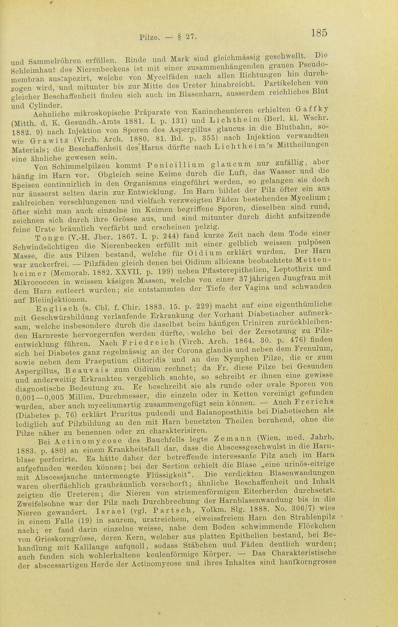 und Sammelröhren erfüllen. Binde und Mark sind gleichmässig g^s«^^^!; Schleimhaut des Nierenbeckens ist mit einer zusammenhängenden grauen iseuao- membran austapezirt, welche von Myceltaden nach allen Eichtungen hin durch- zogen ^ ird, und mitunter bis zur Mitte des Ureter hinabreicht. P'^'-t'kele len von gleicher Beschaffenheit finden sich auch im Blasenharn, ausserdem reichliches Blut und Cyl^'^^deu^^ mikroskopische Präparate von Kaninchennieren erhielten Gaffky (Mitth. d. K. Gesundh.-Amts 1881. I. p. 131) und Lichtheim (Berl kl. Wschr. 1882 9) nach Injektion von Sporen des Aspergillus glaucus in die Blutbabn so- tie Grabitz (Virch. Arch. 1880. 81. Bd. p. 355) nach Injektion verwandten Materials; die Beschaffenheit des'Harns dürfte nach L i cht h e i m's Mittheilungen eine ähnliche gewesen sein. ^„fsiiio- ^h^r Von Schimmelpilzen kommt Penicillium gl au cum nur zutailig, aoei häiifl- im Harn vor. Obgleich seine Keime durch die Luft, das Wasser und die Speisen continuirlich in den Organismus eingeführt werden, so gelangen sie doch nur äusserst selten darin zur Entwicklung. Im Harn bildet der Pilz fter ein aus zahlreichen verschlungenen und vielfach verzweigten Fäden bestehendes Myceliuni; öfter sieht man auch einzelne im Keimen begriffene Sporen, dieselben sind rund, zeichneu sich durch ihre Grösse aus, und sind mitunter durch dicht aufsitzende feine Urate bräunlich verfärbt und erscheinen pelzig. Tono-e (Y-H Jber. 1867. L p. 244) fand kurze Zeit nach dem Tode einer Schwindsüchtigen die Nierenbecken erfüllt mit einer gelblich weissen pulposen Masse die aus Pilzen bestand, welche für Oidium erklärt wurden. Der Harn war zuckerfrei. — Pilzfäden gleich denen bei Oidium albicans beobachtete Metten- heim er (Memorab. 1882. XXVIL p. 199) neben Pflasterepithelien, Leptothrix und. Mikrococcen in weissen käsigen Massen, welche von einer 37 jährigen Jungfrau mit dem Harn entleert wurden; sie entstammten der Tiefe der Vagina und schwanden auf Bleiinjektionen. „ . . i En-lisch (s. Cbl. f. Chir. 1883. 15. p. 229) macht auf eine eigenthumliche mit Geschwürsbüdung verlaufende Erkrankung der Vorhaut Diabetischer aufmerk- sam welche insbesondere durch die daselbst beim häufigen Uriniren zurückbleiben- den' Harnreste hervorgerufen werden dürfte, welche bei der Zersetzung zu Pilz- entwicklung führen. Nach Eriedreich (Virch. Arch. 1864. 30. p. 476) finden sich bei Diabetes ganz regelmässig an der Corona glandis und neben dem Prenulum, sowie neben dem Praeputium clitoridis und an den Nymphen Pilze die er zum Aspergillus, Beauvais zum Oidium rechnet; da Er. diese Pilze bei Gesunden und anderweitig Erkrankten vergeblich suchte, so schreibt er ihnen eine gewisse diagnostische Bedeutung zu. Er beschreibt sie als runde oder ovale Sporen von 0 001—0 005 Millim. Durchmesser, die einzeln oder in Ketten vereinigt gefunden wurden, kber auch mvceliumartig zusammengefügt sein können. — Auch Frerichs (Diabetes p 76) erklärt Pruritus pudendi und Balanoposthitis bei Diabetischen als lediglich auf Pilzbildung an den mit Harn benetzten Theilen beruhend, ohne die Pilze näher zu benennen oder zu charakterisiren. ^ , , Bei Actinomycose des Bauchfells legte Zemann (Wien. med. Jahrb. 1883 p 480) an einem Krankheitsfall dar, dass die Abscessgeschwulst m die Harn- blase perforirte Es hätte daher der betreffende interessante Pilz auch im Harn auf-efunden werden können; bei der Seotion erhielt die Blase „eine urmös-eitnge mit Abscessjauche untermengte Flüssigkeit. Die verdickten Blasenwandungen waren oberflächlich graubräunlich verschorft; ähnliche Beschaffenheit und Inhalt zeigten die Ureteren; die Nieren von striemenförmigen Eiterherden durchsetzt. Zweifelsohne war der Pilz nach Durchbrechung der Harnblasenwandung bis m die Nieren'gewandert. Israel (vgl. Partsch, Volkm. Slg. 1888. No. 306 7) wies in einem Falle (19) in saurem, uratreichem, eiweissfreiem Harn den StrahlenpUz nach- er fand darin einzelne weisse, nahe dem Boden schwimmende Flöckchen von Grieskorngrösse, deren Kern, welcher aus platten Epithelien bestand, bei Be- handlung mit Kalilauge aufquoll, sodass Stäbchen und Fäden deuthch wurden; auch fanden sich wohlerhaltene keulenförmige Körper. — Das Charakteristische der abscessartigen Herde der Actinomycose und ihres Inhaltes sind hanfkorngrosse