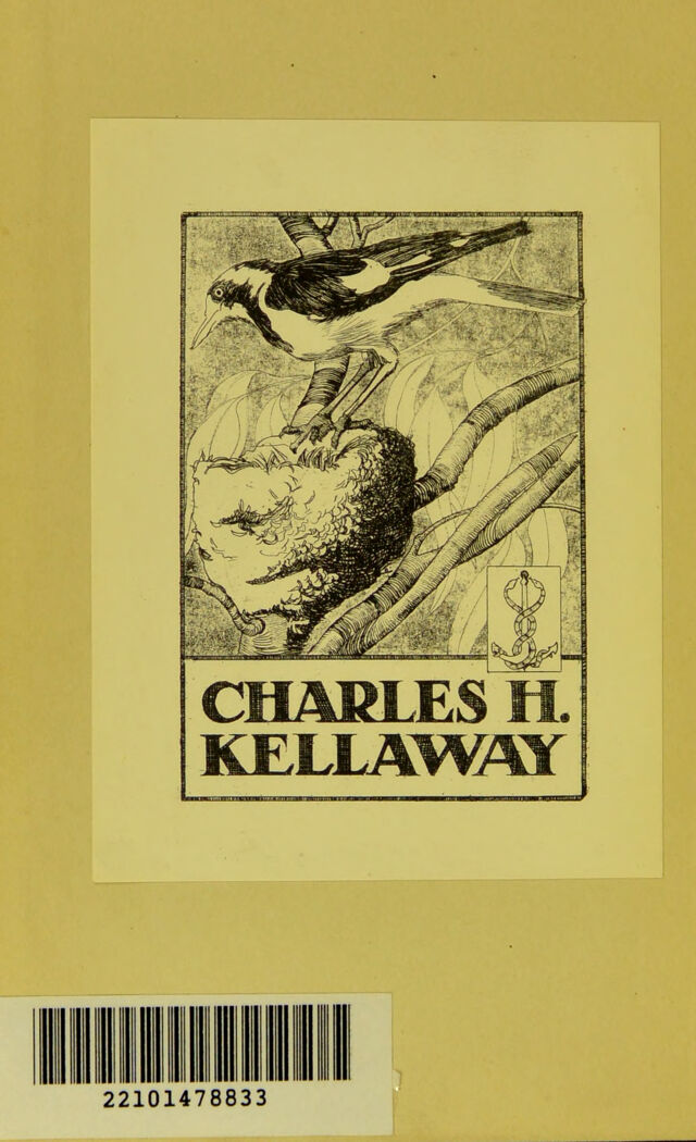 No text description is available for this image