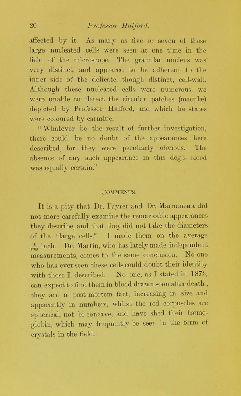 affected by it. As many as five or seven of these large nucleated cells were seen at one time in the field of the microscope. The granular nucleus was veiy distinct, and appeared to be adherent to the inner side of the delicate, though distinct, cell-wall. Although these nucleated cells were numerous, we were unable to detect the circular patches (maculae) depicted by Professor Halford, and which he states were coloured by carmine.  Whatever be the result of further investigation, there could be no doubt of the appearances here described, for they were peculiarly obvious. The absence of any such appearance in this dog's blood was equally certain. Comments. It is a pity that Dr. Fayrer and Dr. Macnamara did not more carefully examine the remarkable appearances they describe, and that they did not take the diameters of the large cells. I made them on the average ~ inch. Dr. Martin, who has lately made independent measurements, comes to the same conclusion. No one who has ever seen these cells could doubt their identity with those I described. No one, as I stated in 187o, can expect to find them in blood drawn soon after death ; they are a post-mortem fact, increasing in size and apparently in numbers, whilst the red corpuscles are spherical, not bi-concave, and have shed their haemo- globin, which may frequently be seen in the form of crystals in the field.